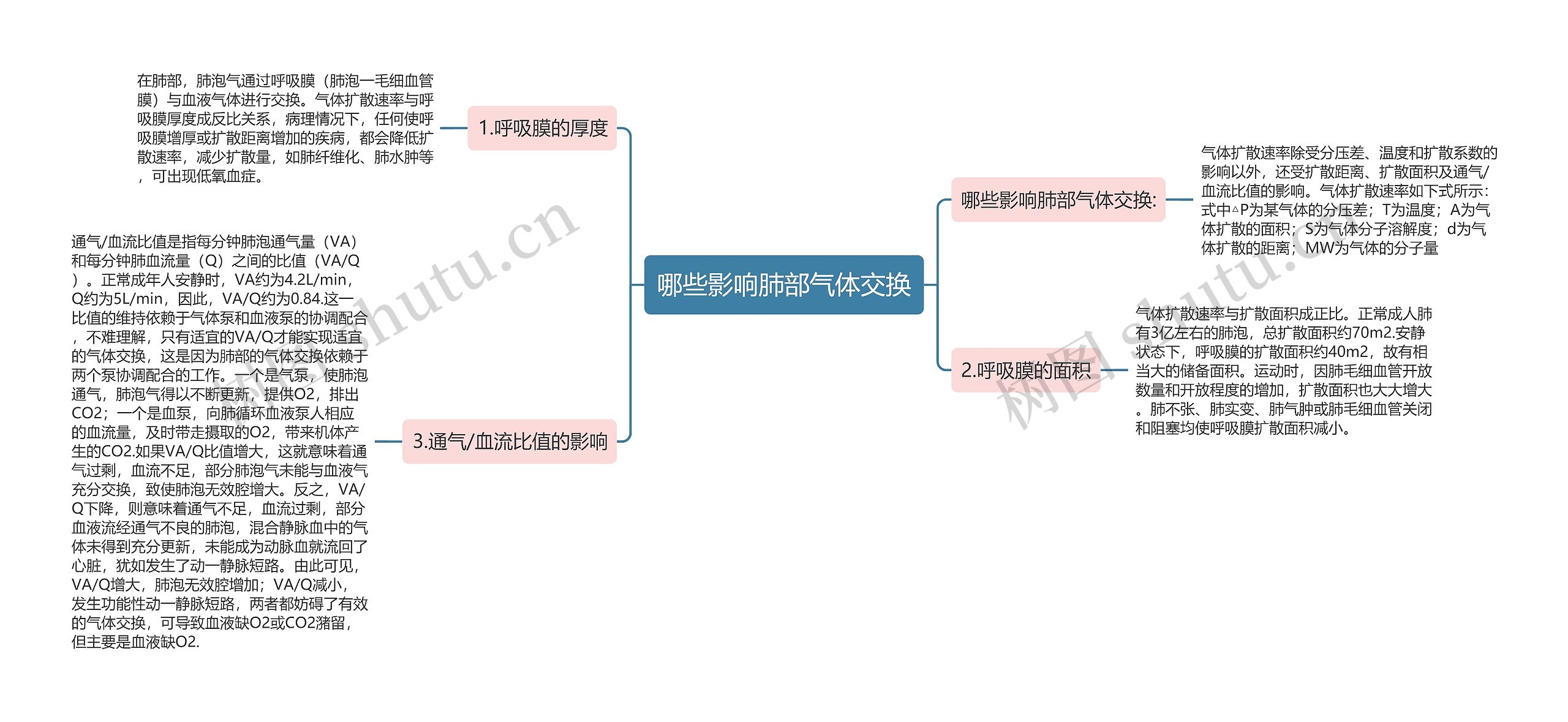 哪些影响肺部气体交换