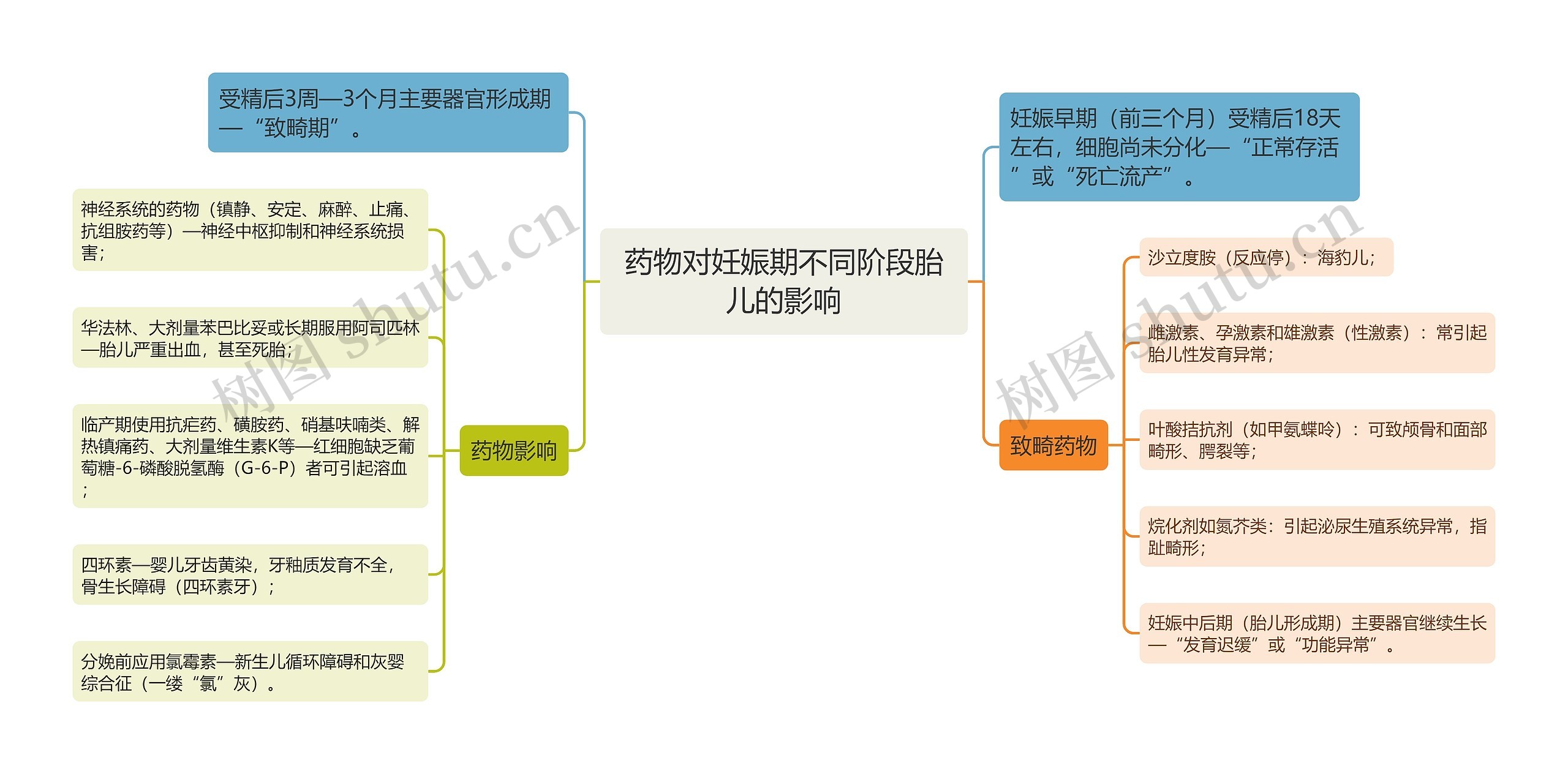 药物对妊娠期不同阶段胎儿的影响思维导图