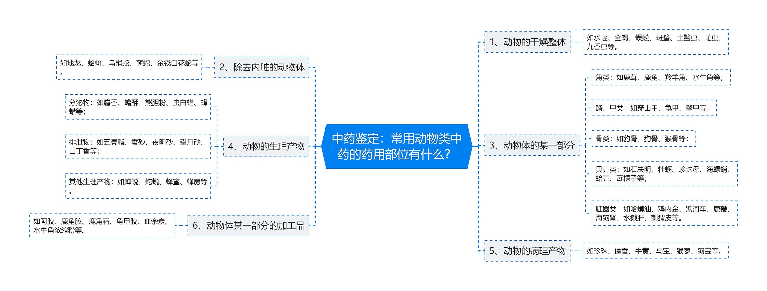 中药鉴定：常用动物类中药的药用部位有什么？思维导图