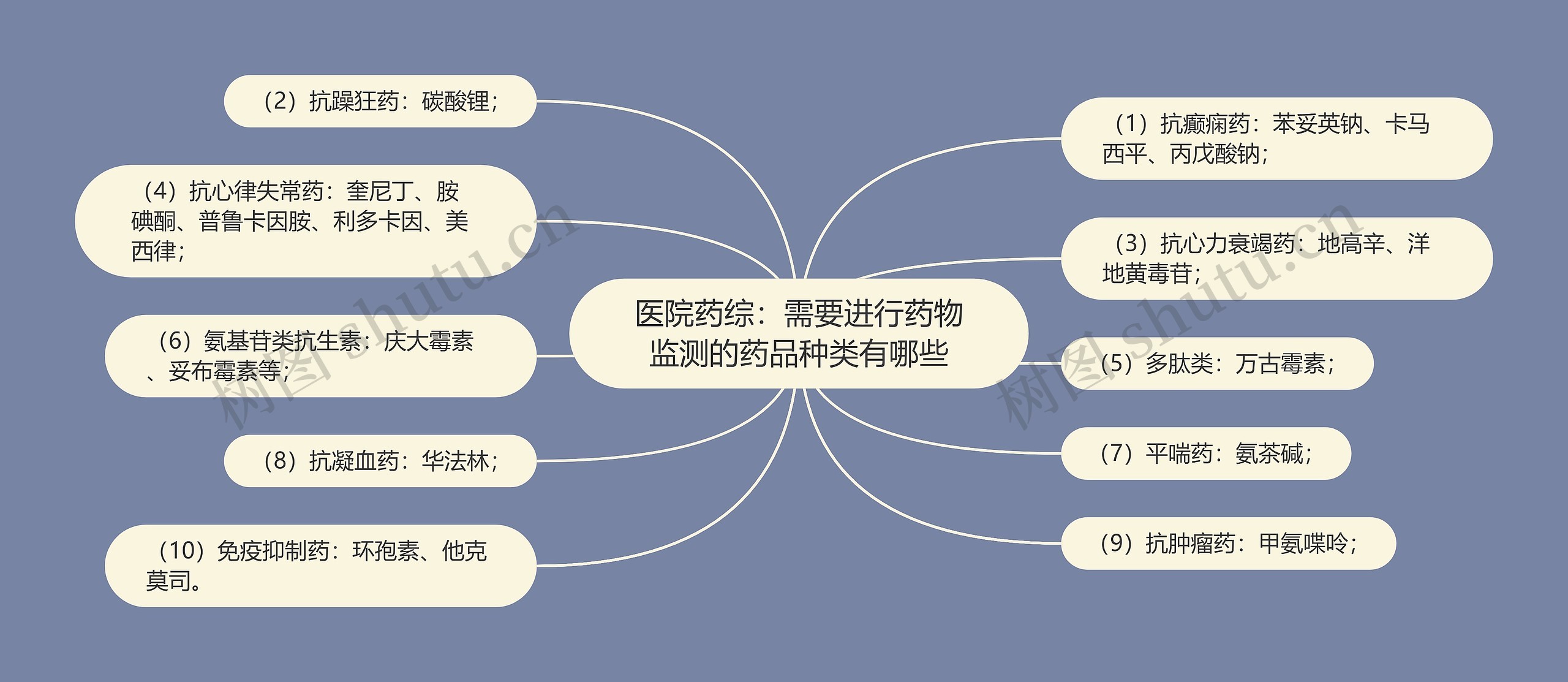 医院药综：需要进行药物监测的药品种类有哪些思维导图