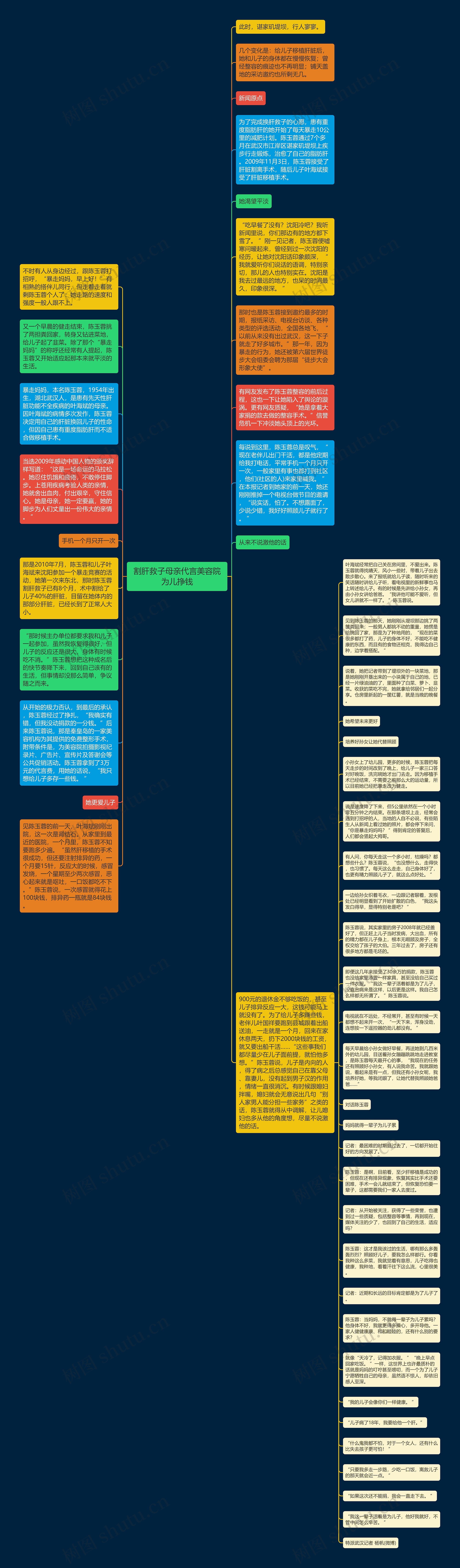 割肝救子母亲代言美容院为儿挣钱思维导图