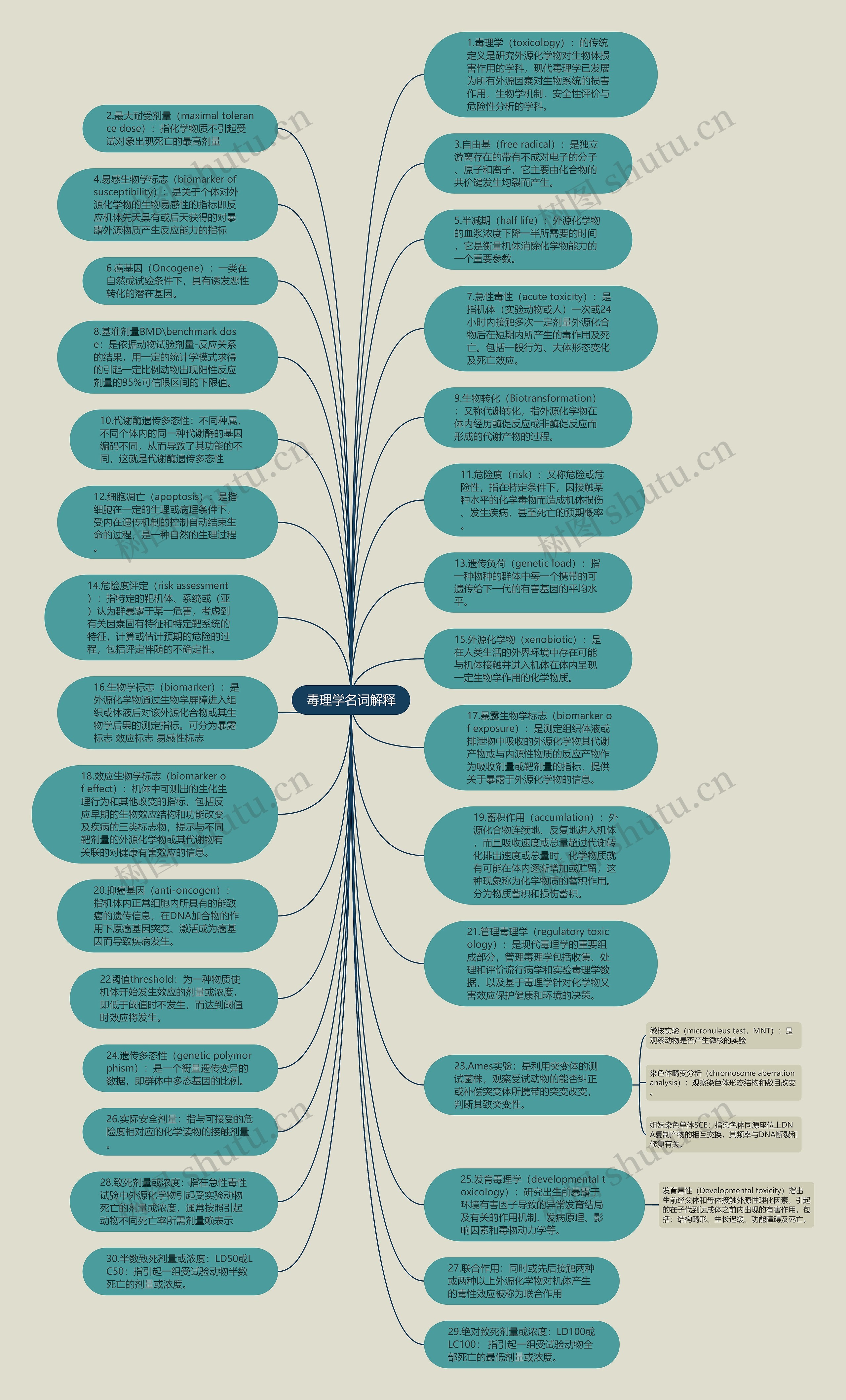毒理学名词解释思维导图高清图 毒理学名词解释思维导图