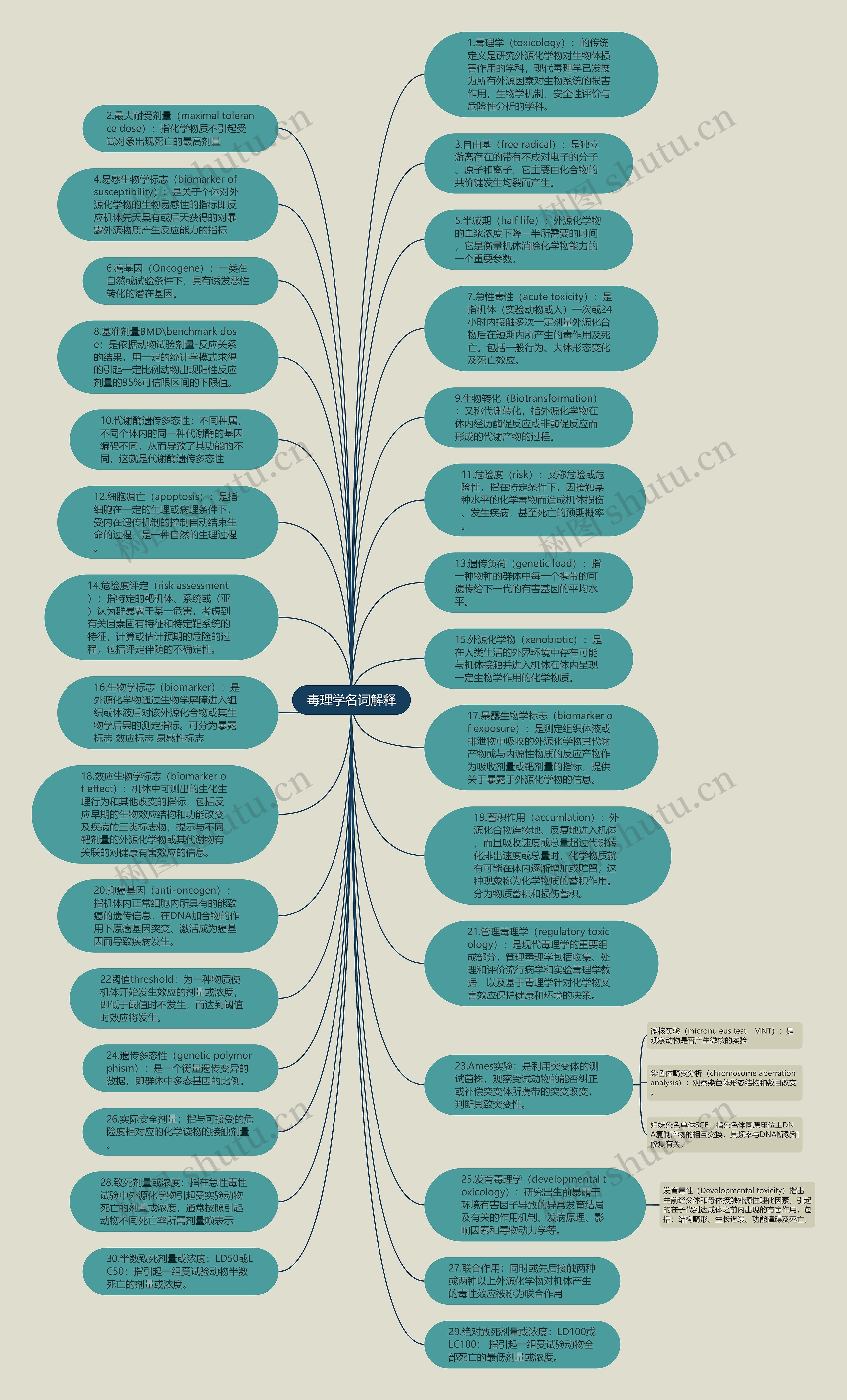 毒理学名词解释思维导图