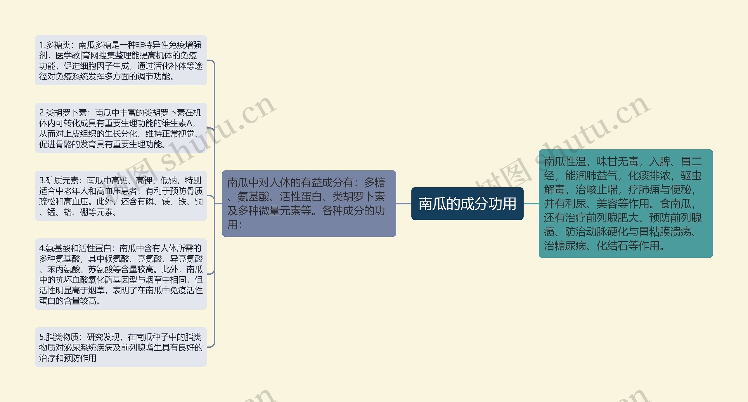 南瓜的成分功用思维导图