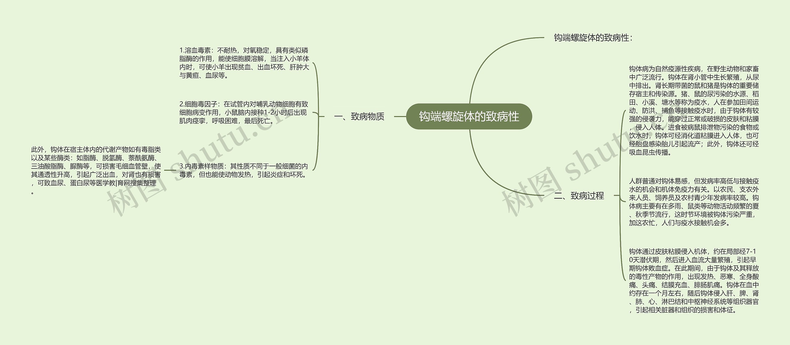 钩端螺旋体的致病性思维导图