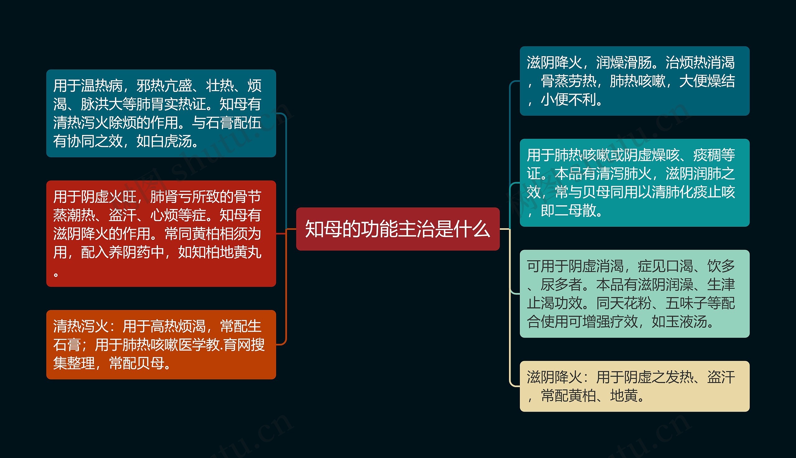 知母的功能主治是什么思维导图