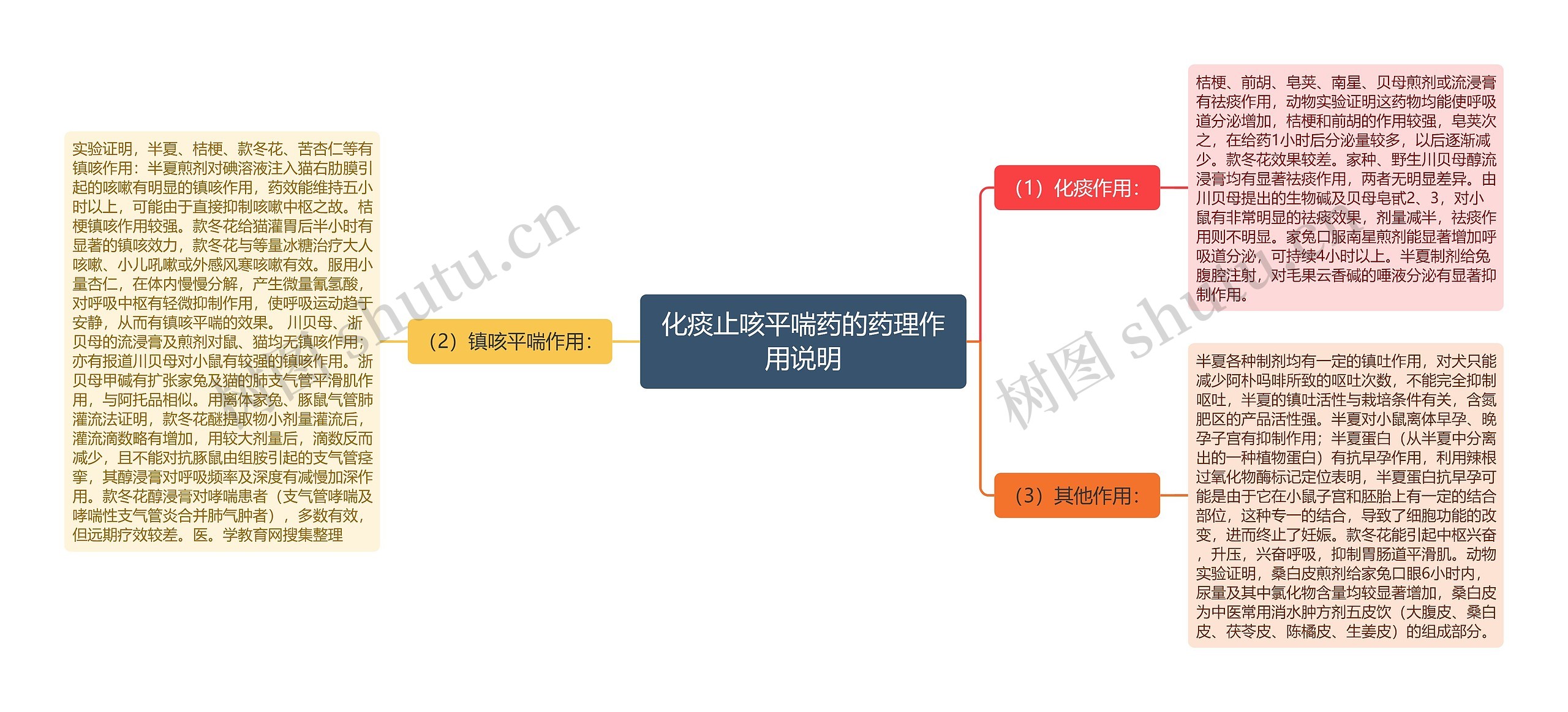 化痰止咳平喘药的药理作用说明思维导图