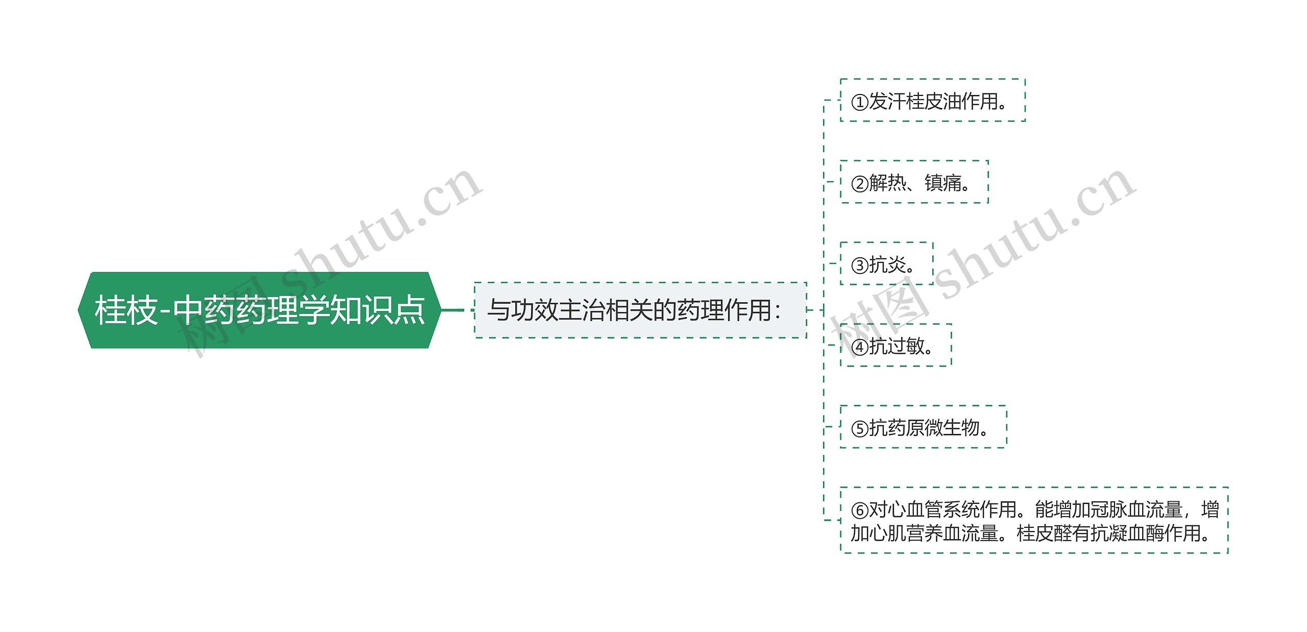 桂枝-中药药理学知识点思维导图