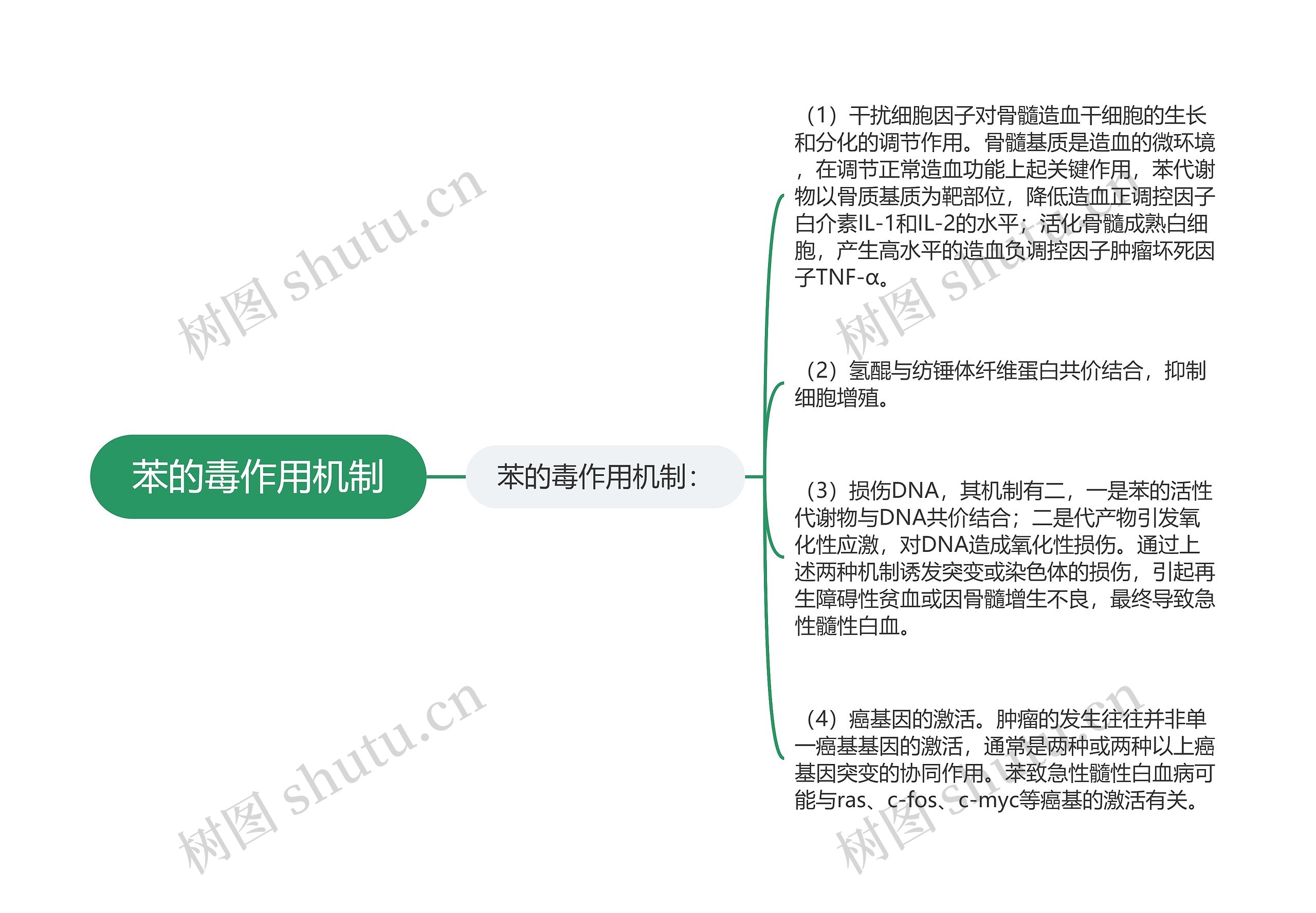 苯的毒作用机制