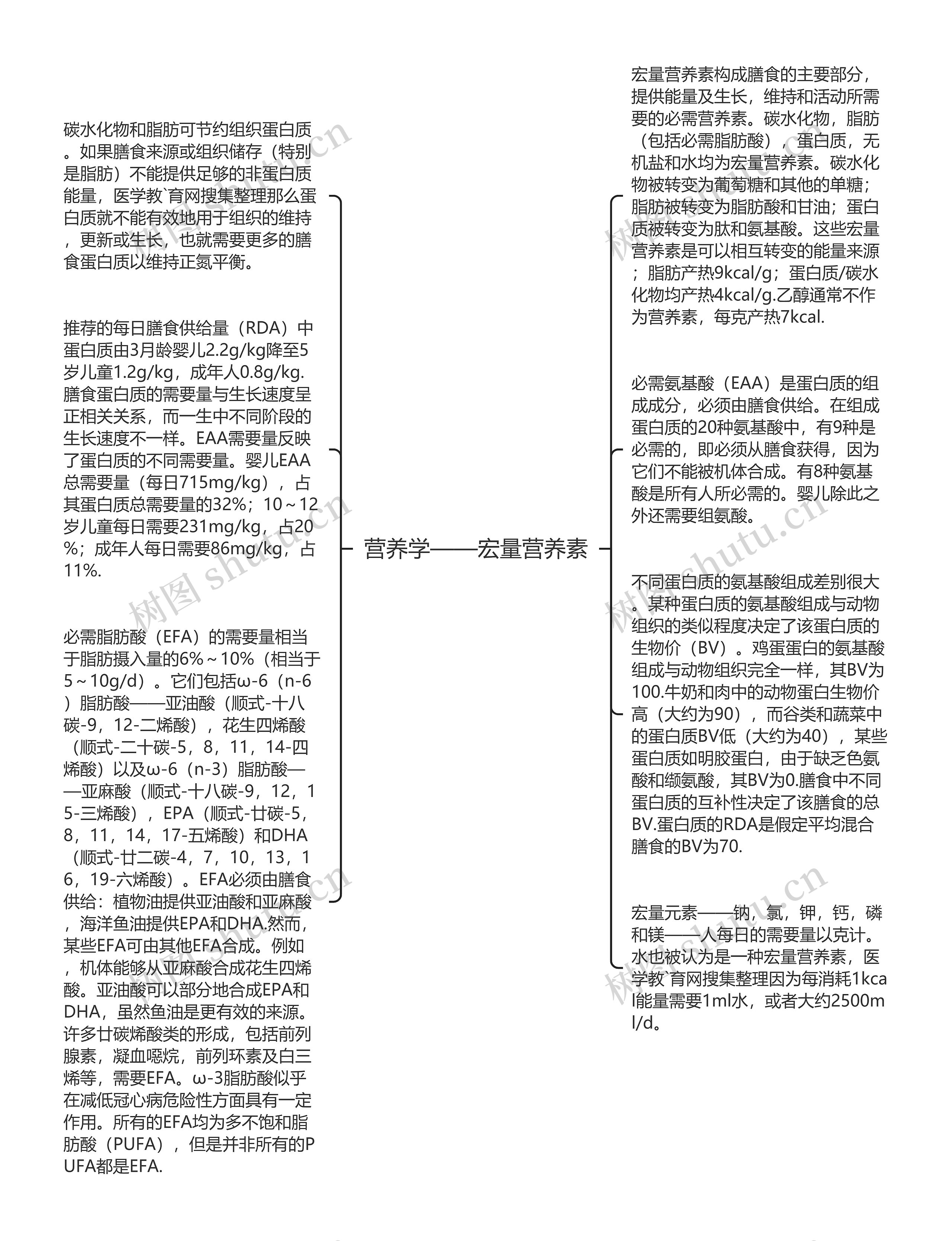 营养学——宏量营养素思维导图