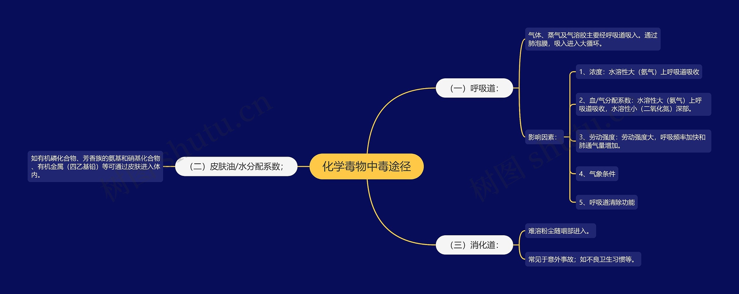 化学毒物中毒途径