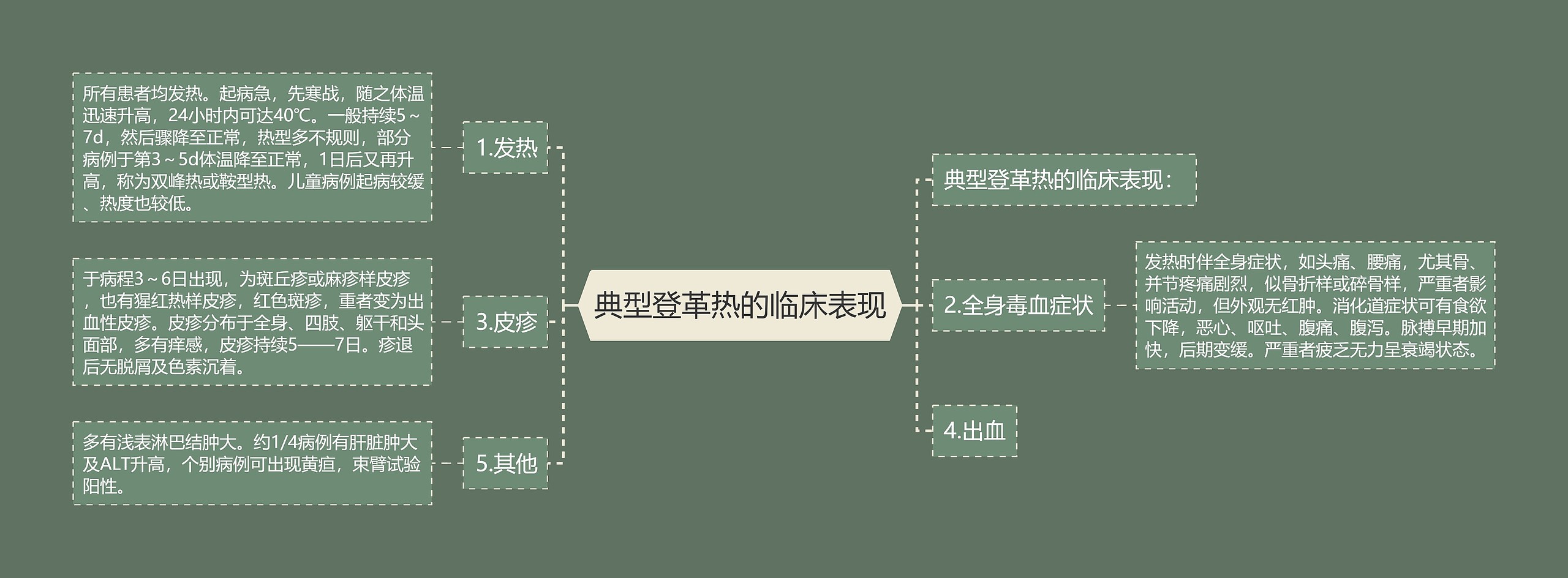 典型登革热的临床表现