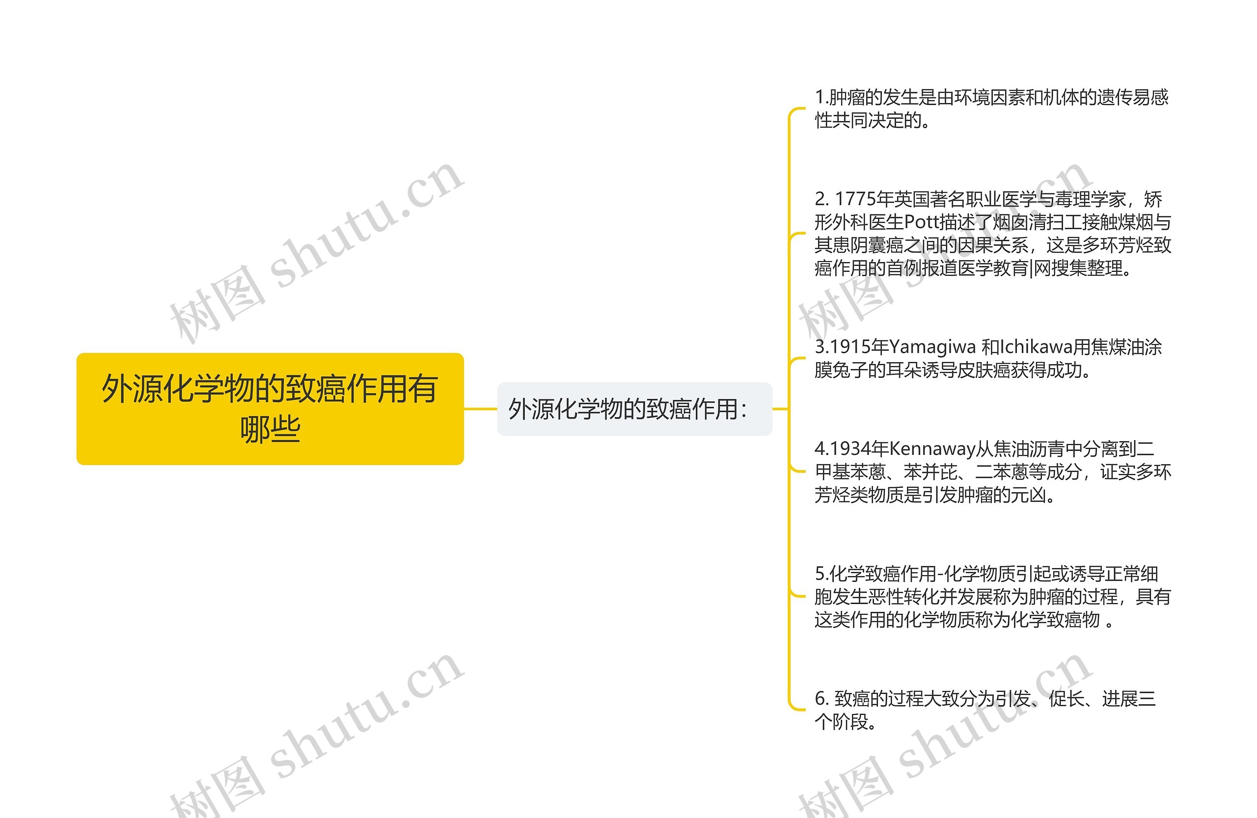 外源化学物的致癌作用有哪些思维导图