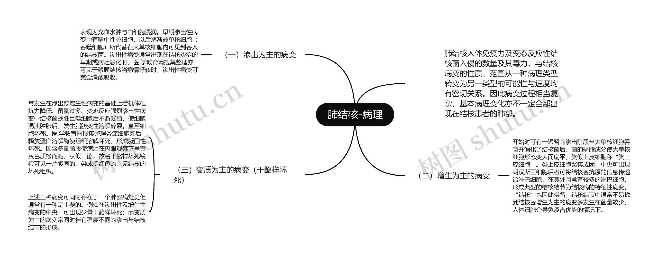 肺结核-病理