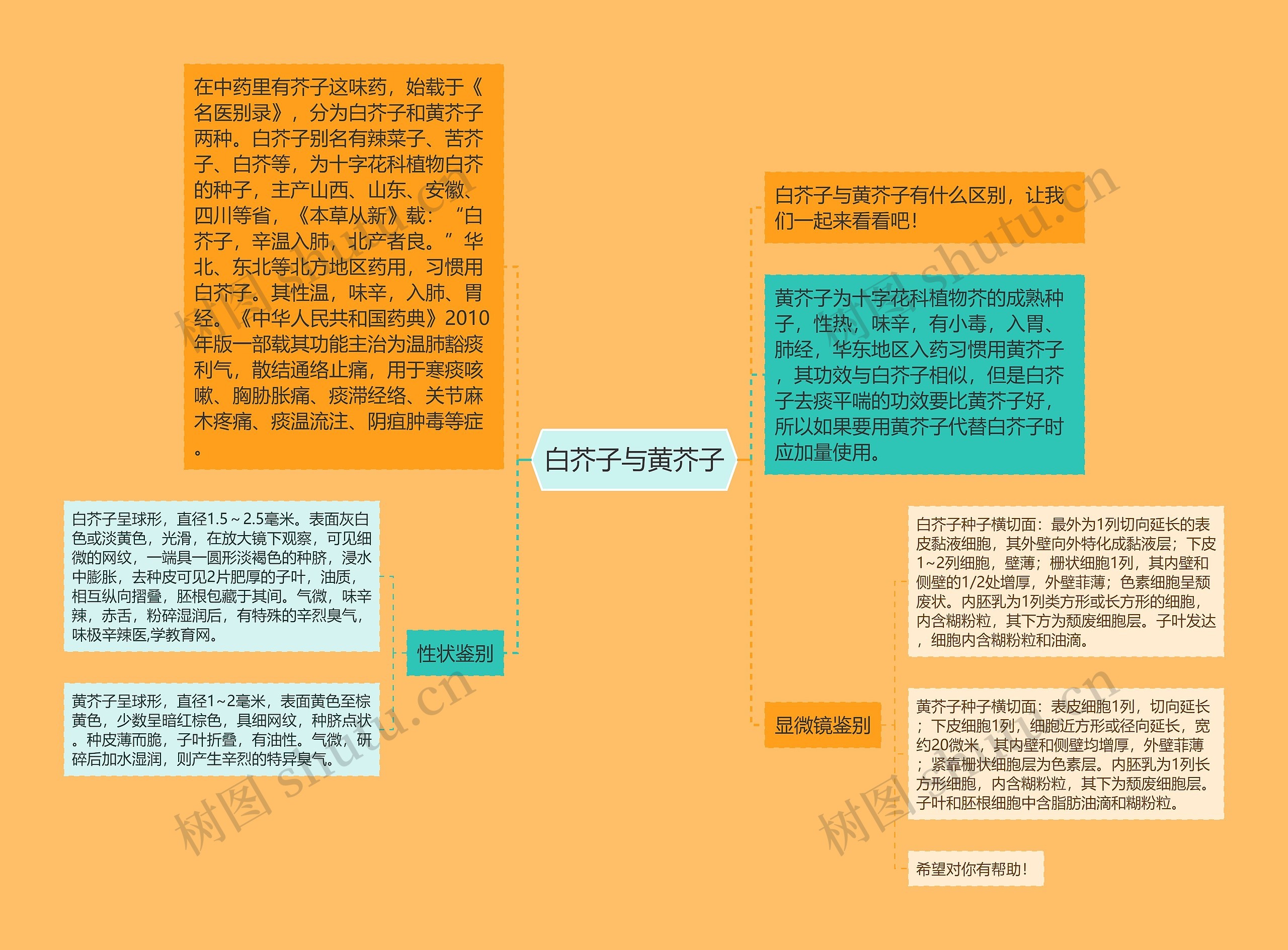 白芥子与黄芥子思维导图