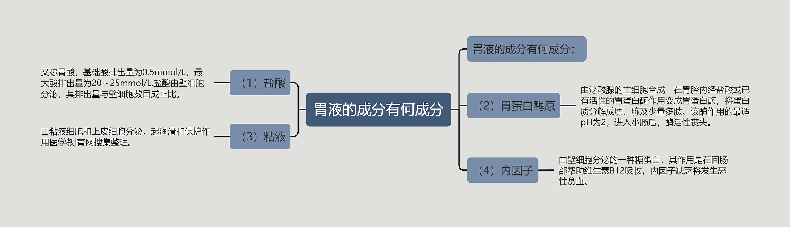 胃液的成分有何成分思维导图