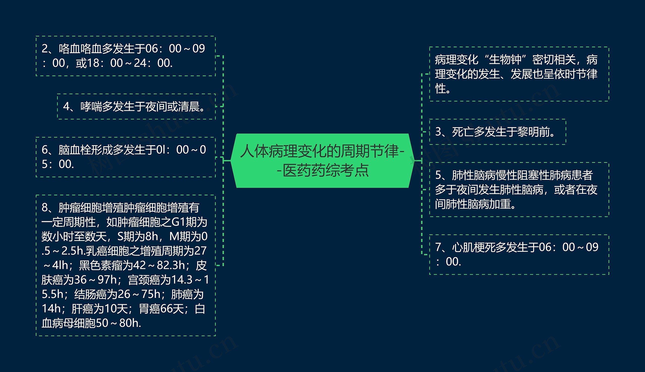 人体病理变化的周期节律--医药药综考点思维导图