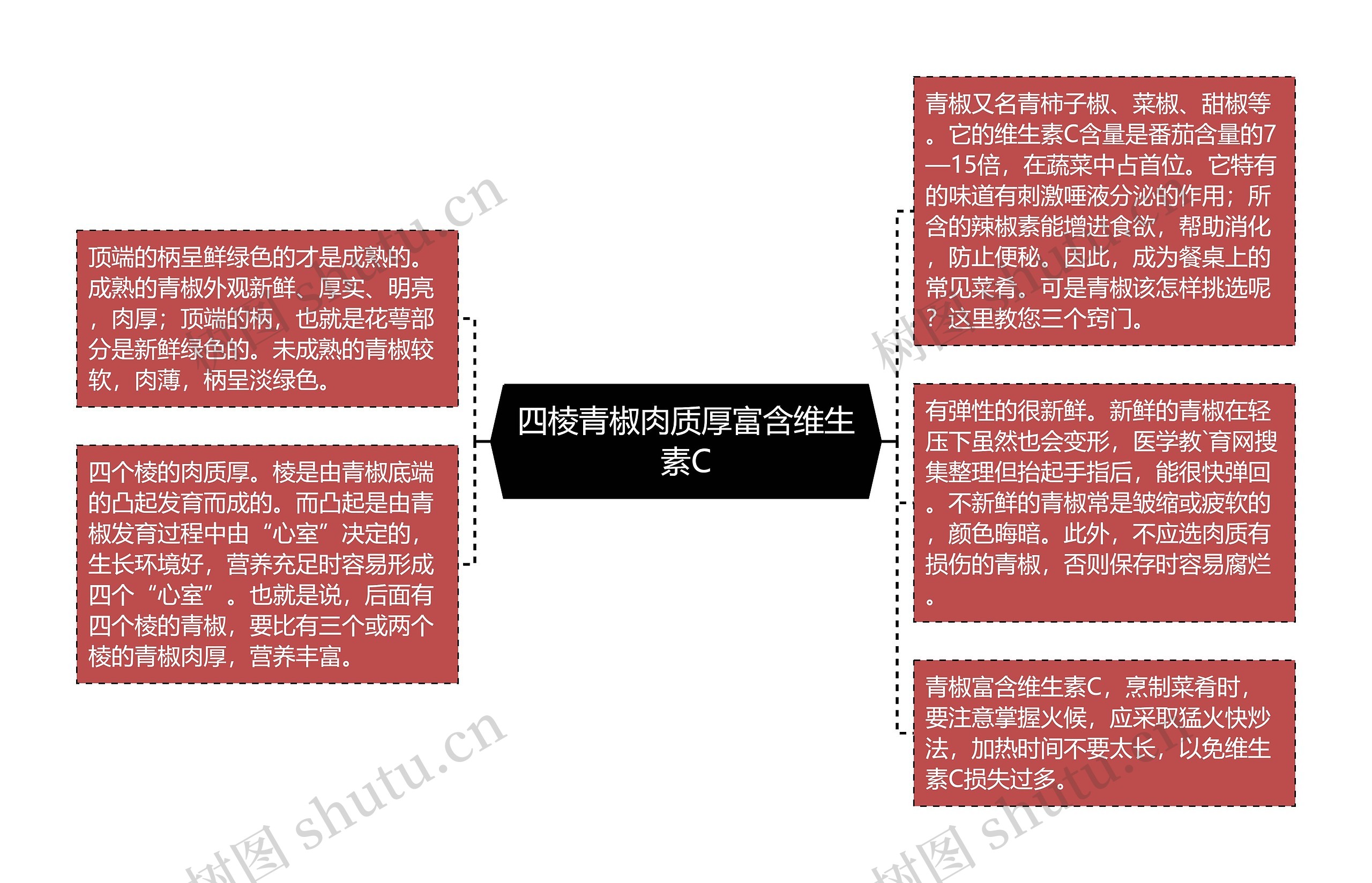 四棱青椒肉质厚富含维生素C思维导图