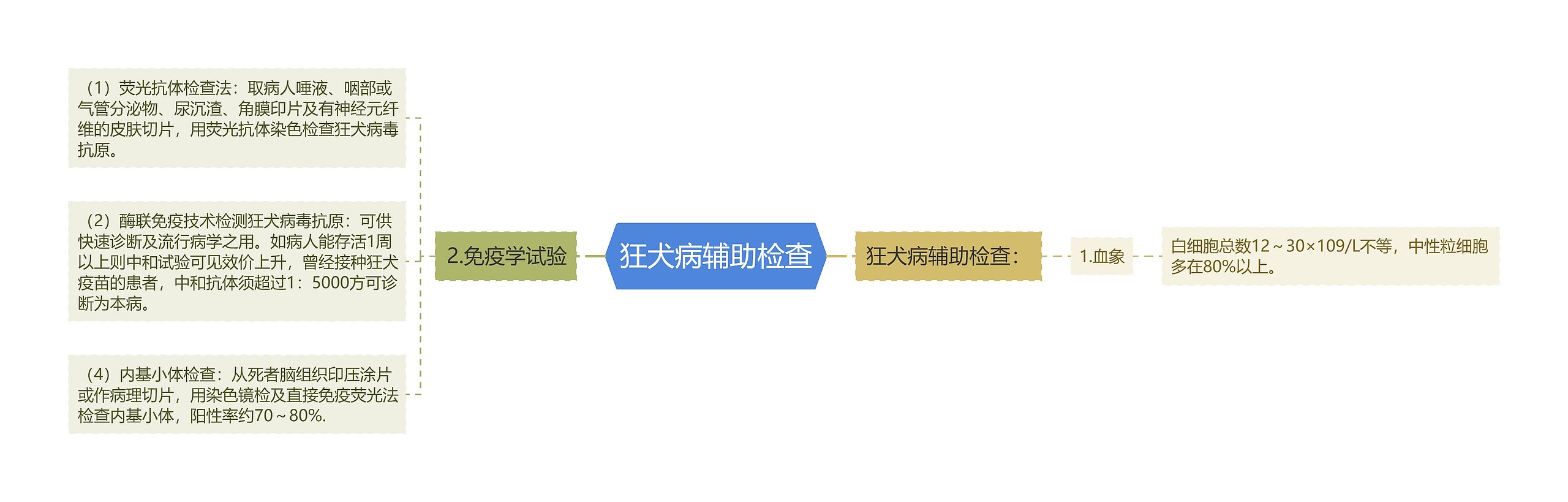 狂犬病辅助检查思维导图