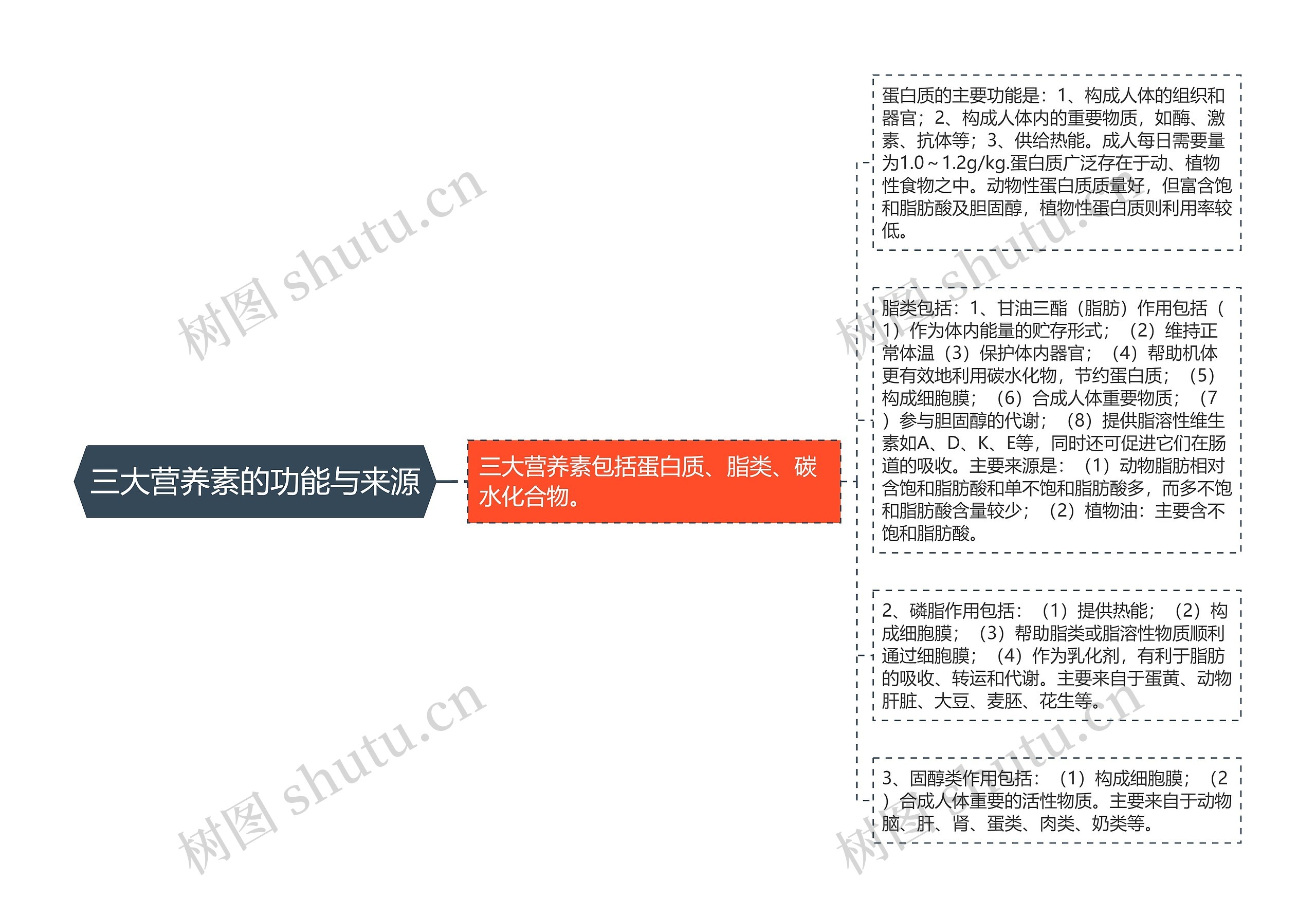 三大营养素的功能与来源 三大营养素的功能与来源