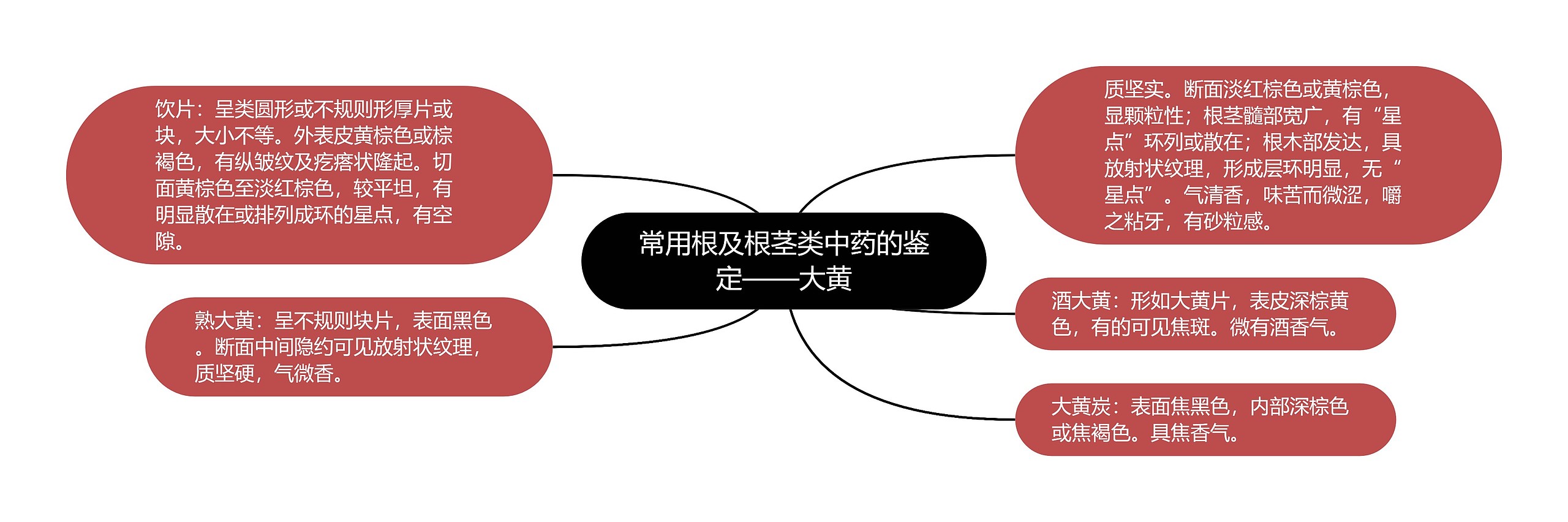 常用根及根茎类中药的鉴定——大黄 常用根及根茎类中药的鉴定——大黄