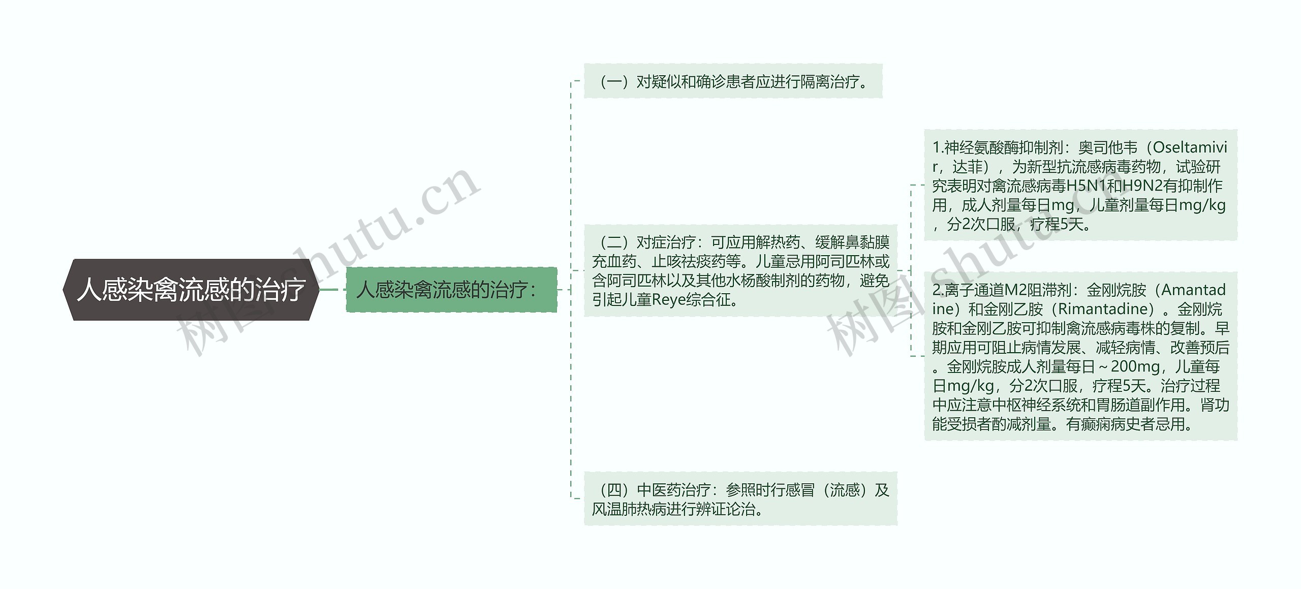 人感染禽流感的治疗思维导图