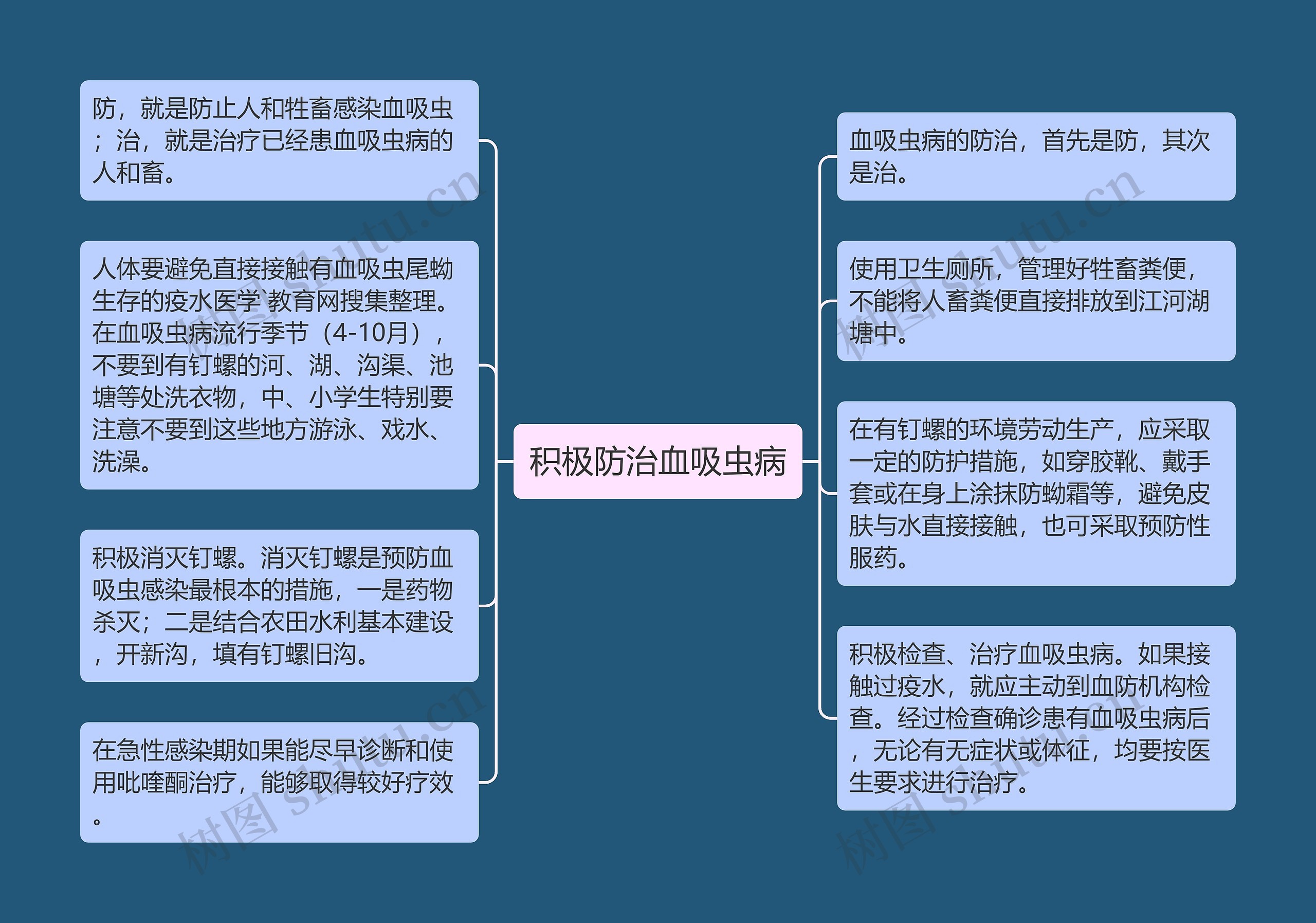 积极防治血吸虫病思维导图