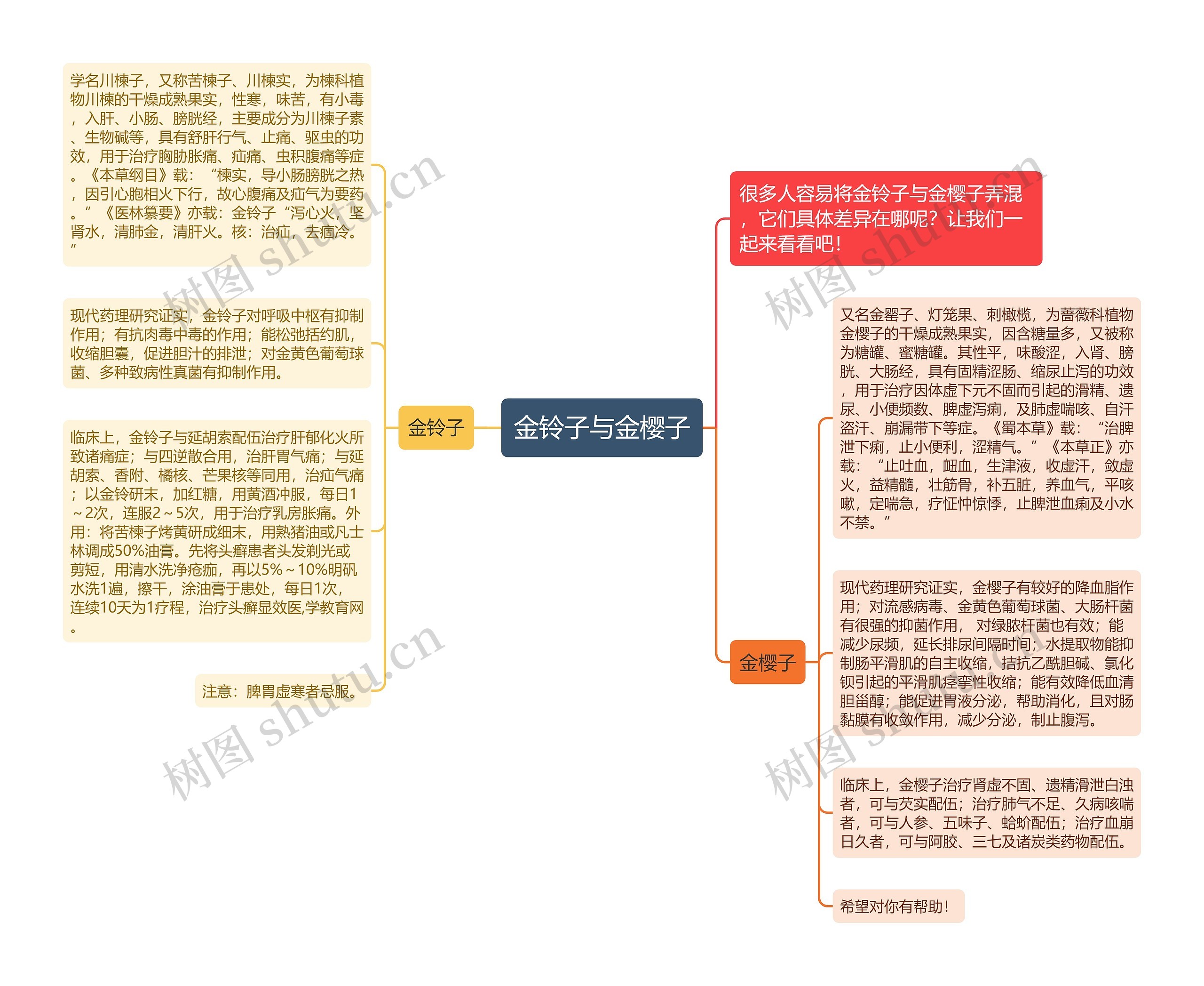 金铃子与金樱子思维导图