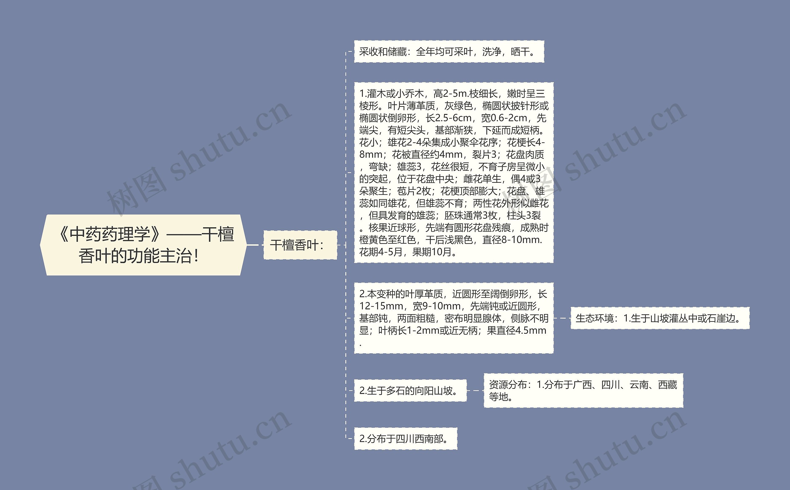 《中药药理学》——干檀香叶的功能主治！