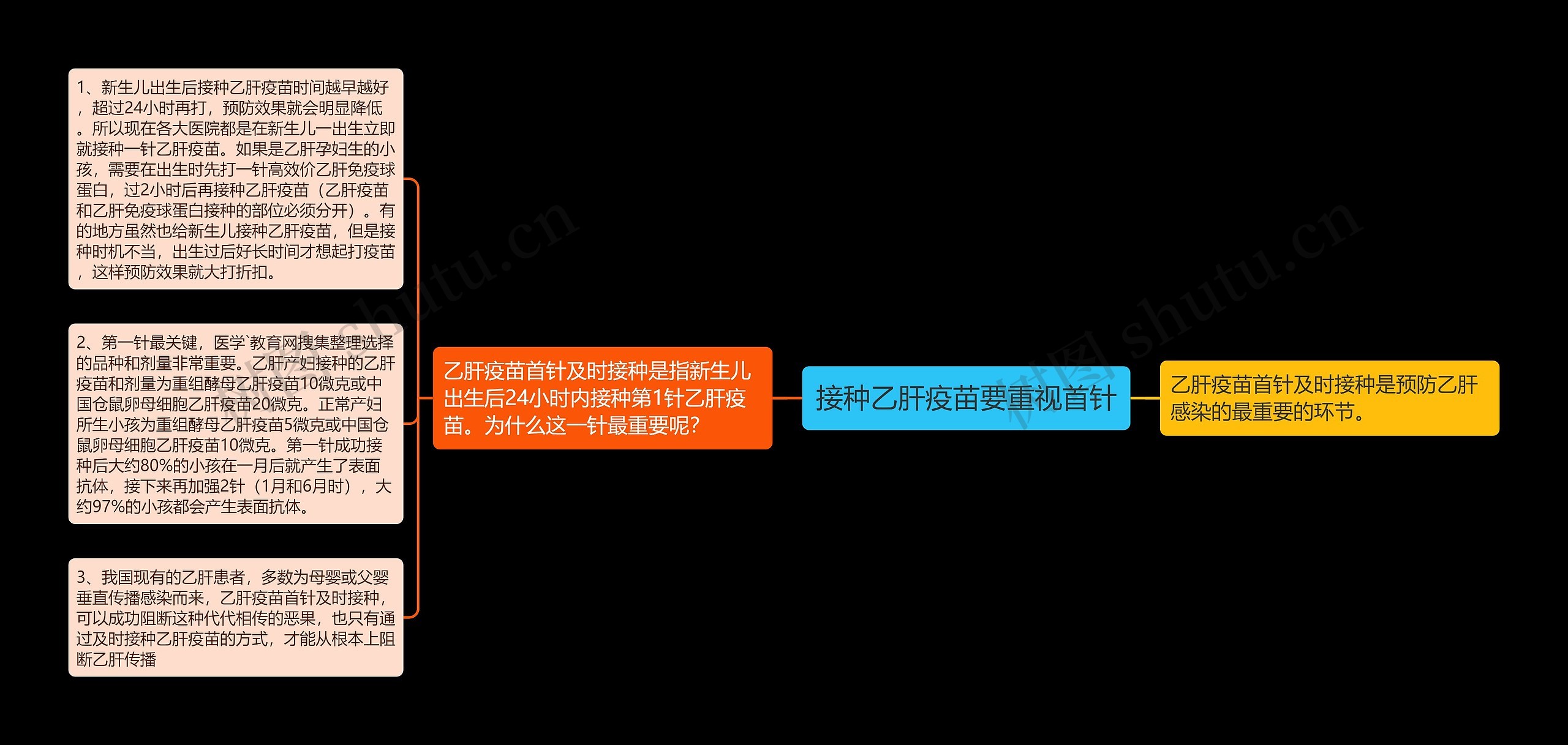 接种乙肝疫苗要重视首针思维导图