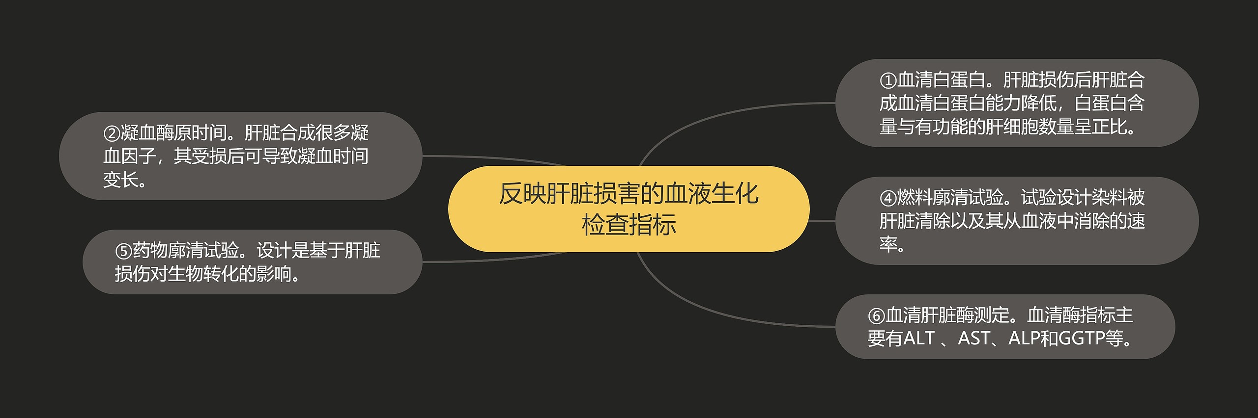 反映肝脏损害的血液生化检查指标思维导图