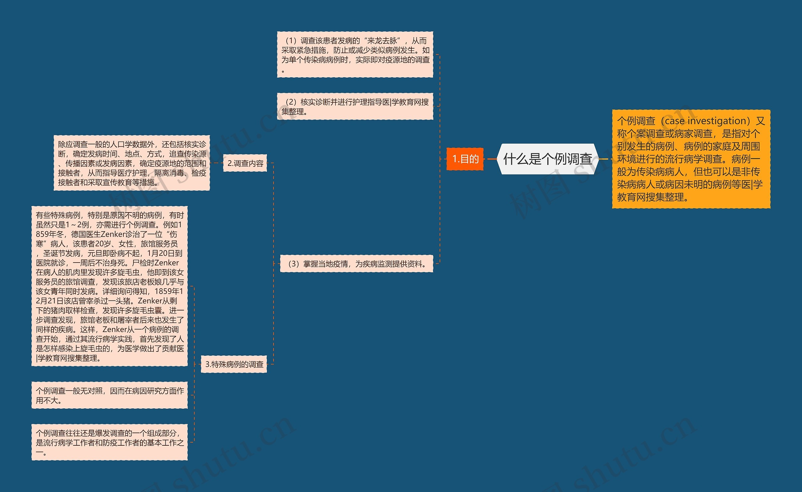 什么是个例调查思维导图