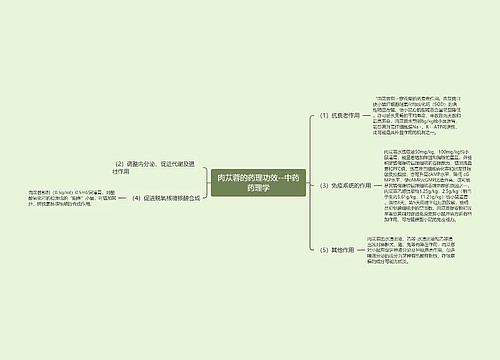 肉苁蓉的药理功效--中药药理学