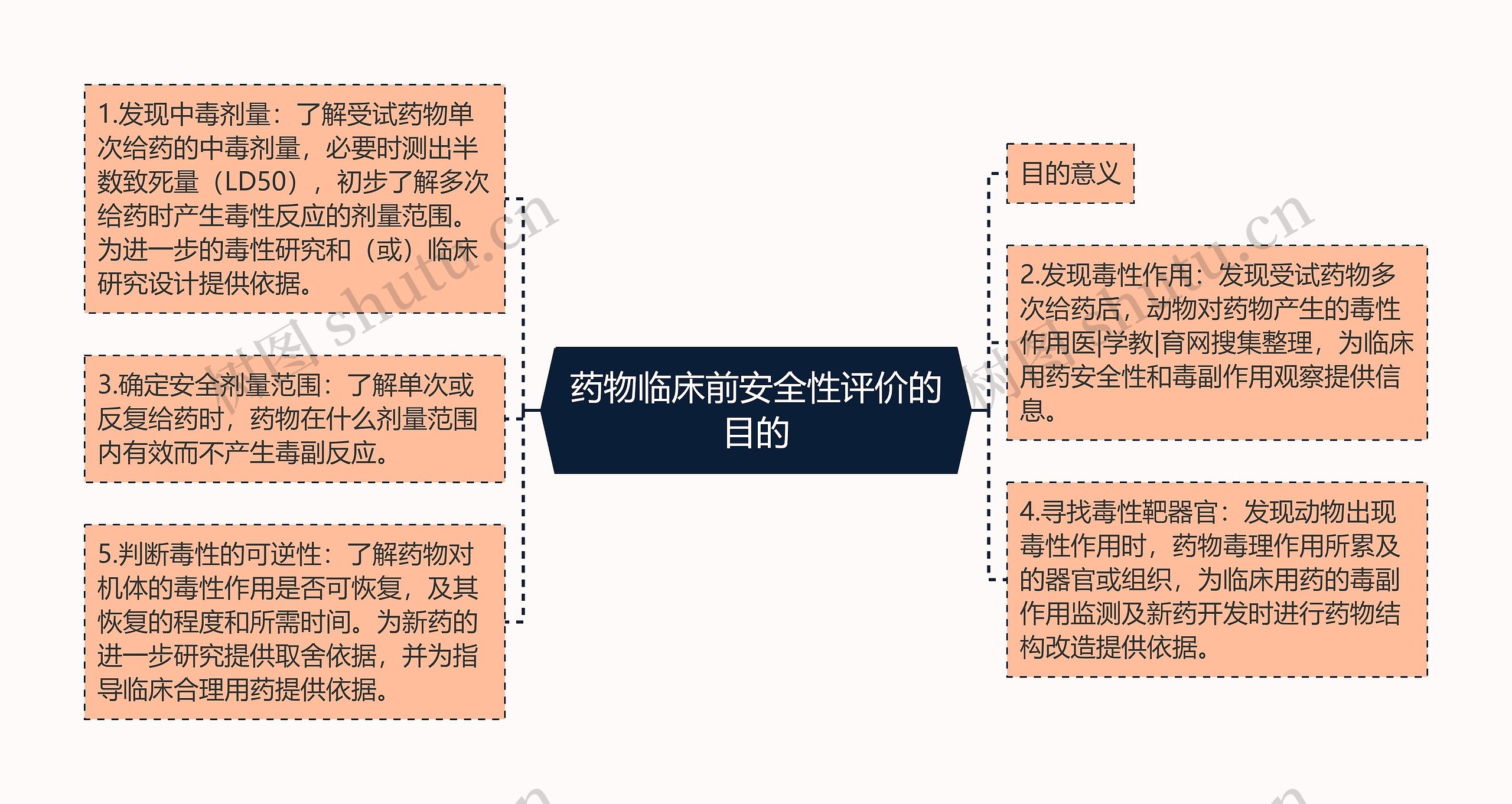 药物临床前安全性评价的目的思维导图