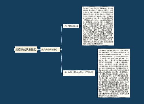 癞皮病的代谢途径