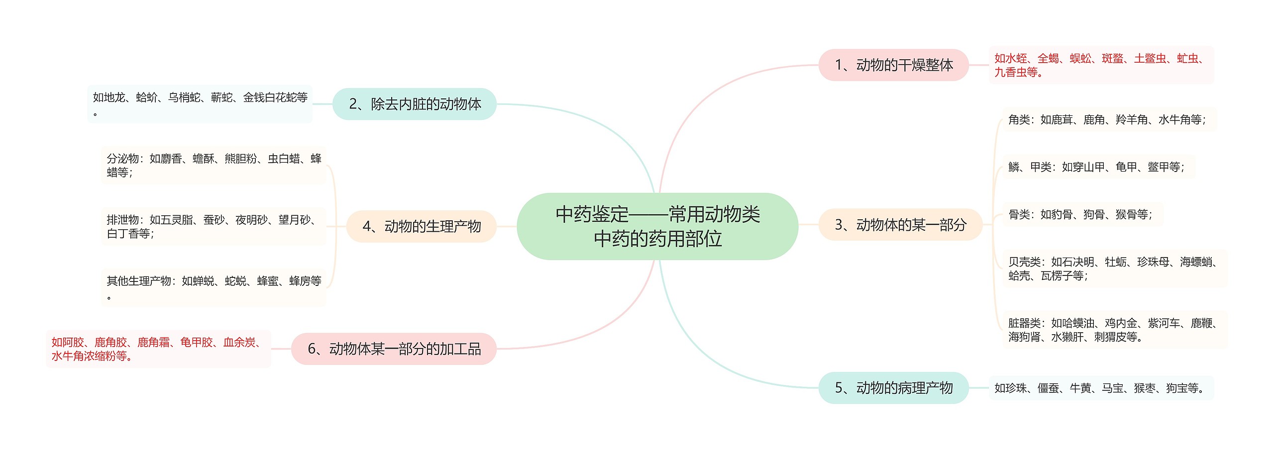 中药鉴定——常用动物类中药的药用部位思维导图