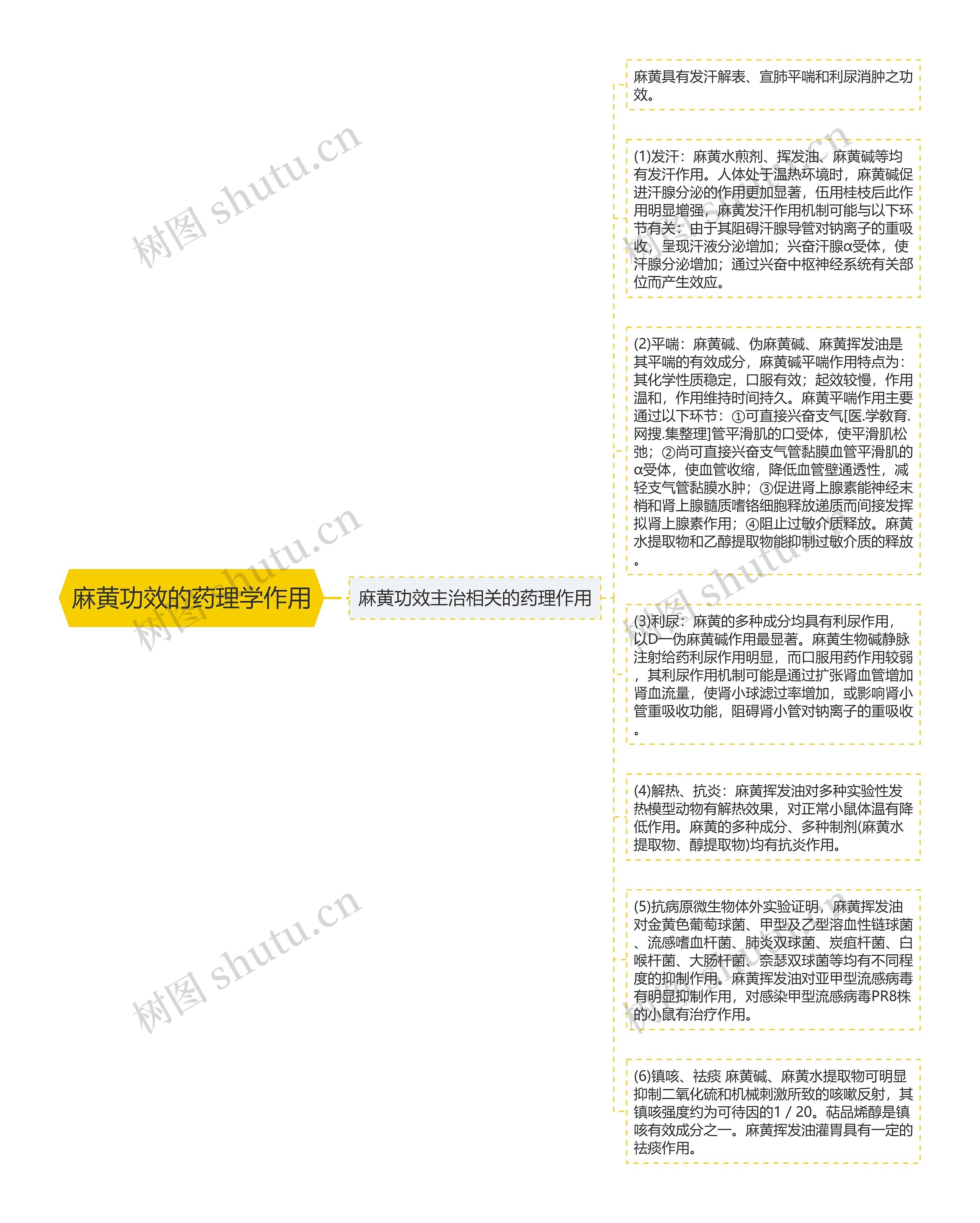 麻黄功效的药理学作用思维导图