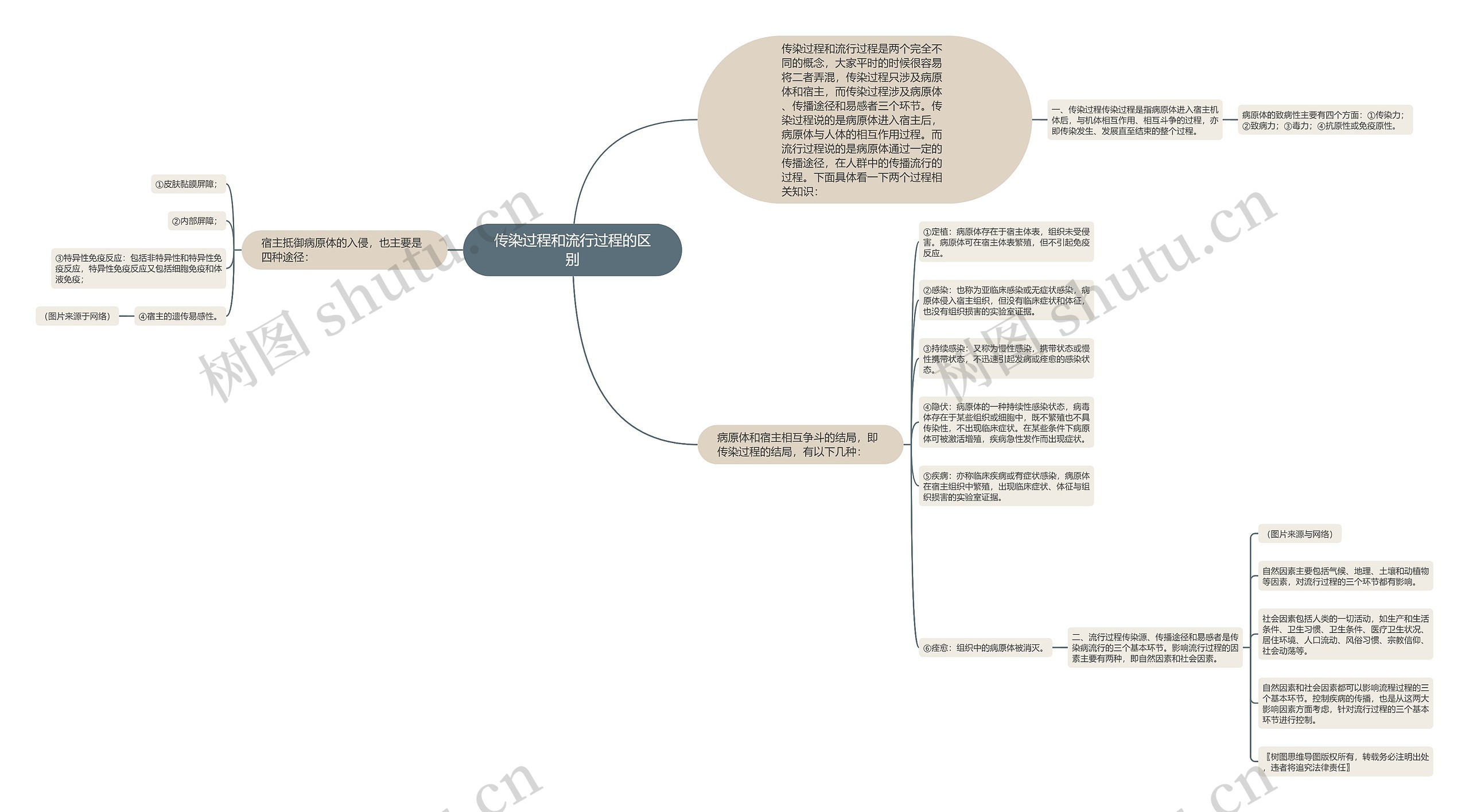 传染过程和流行过程的区别思维导图