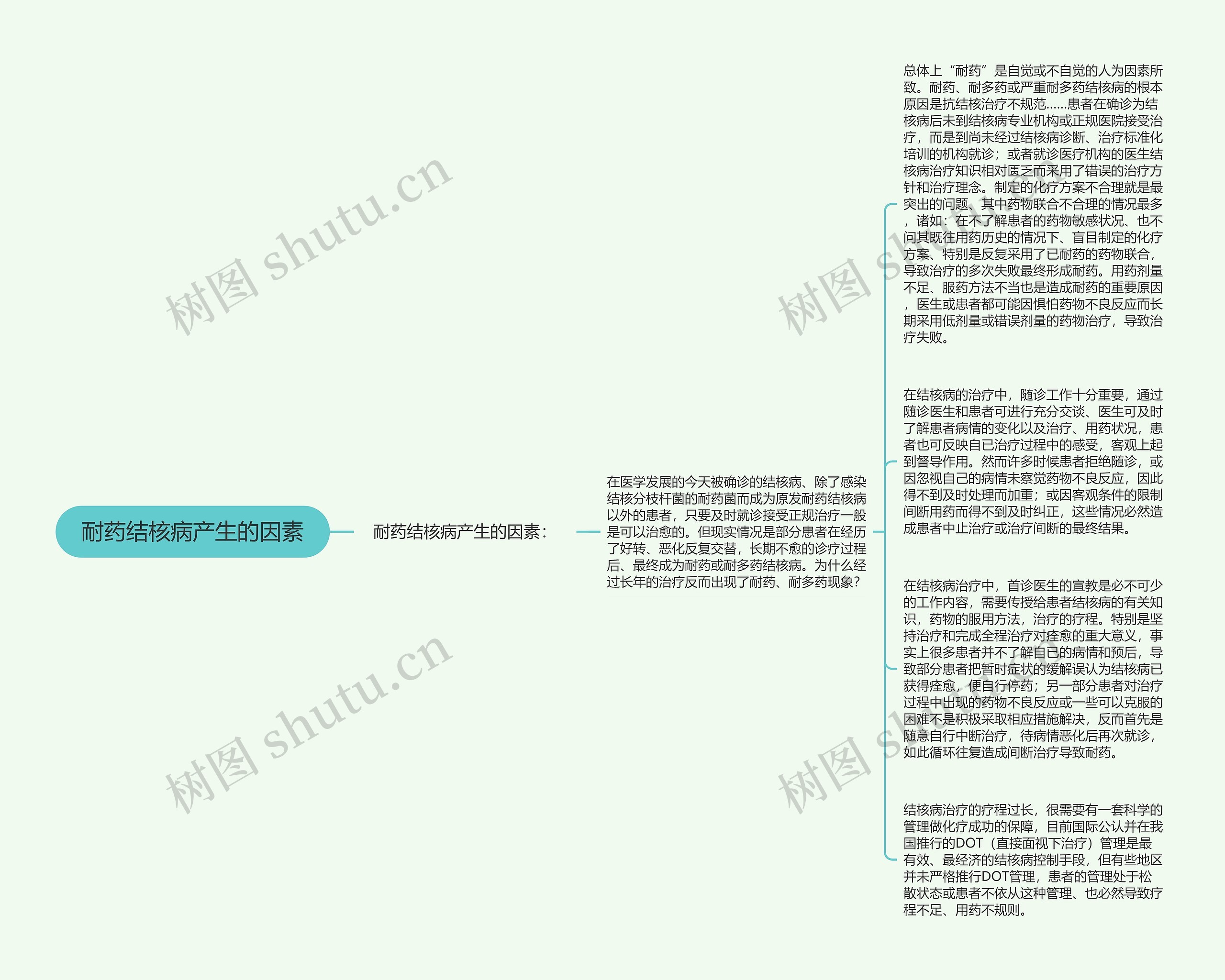 耐药结核病产生的因素思维导图