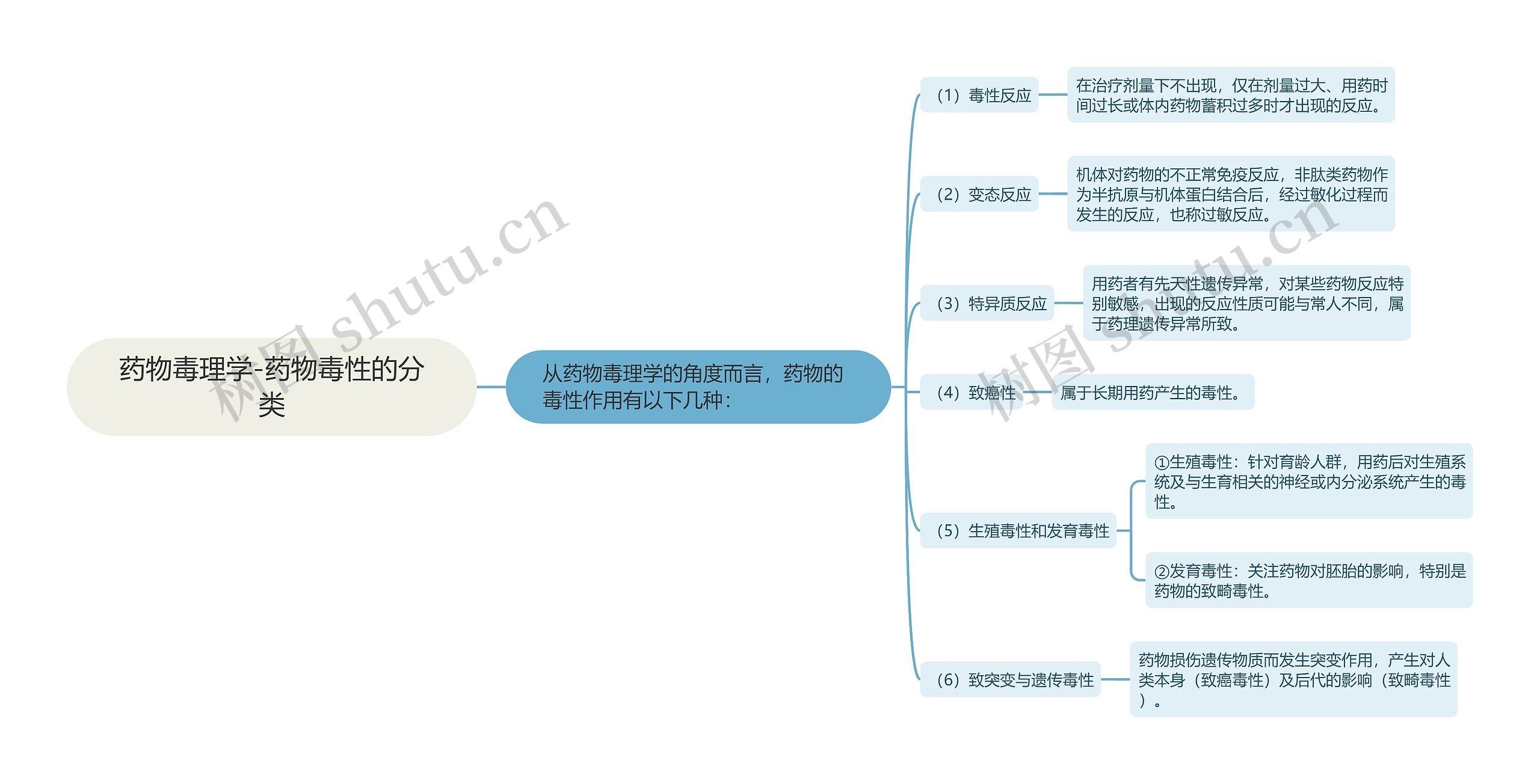 药物毒理学-药物毒性的分类思维导图