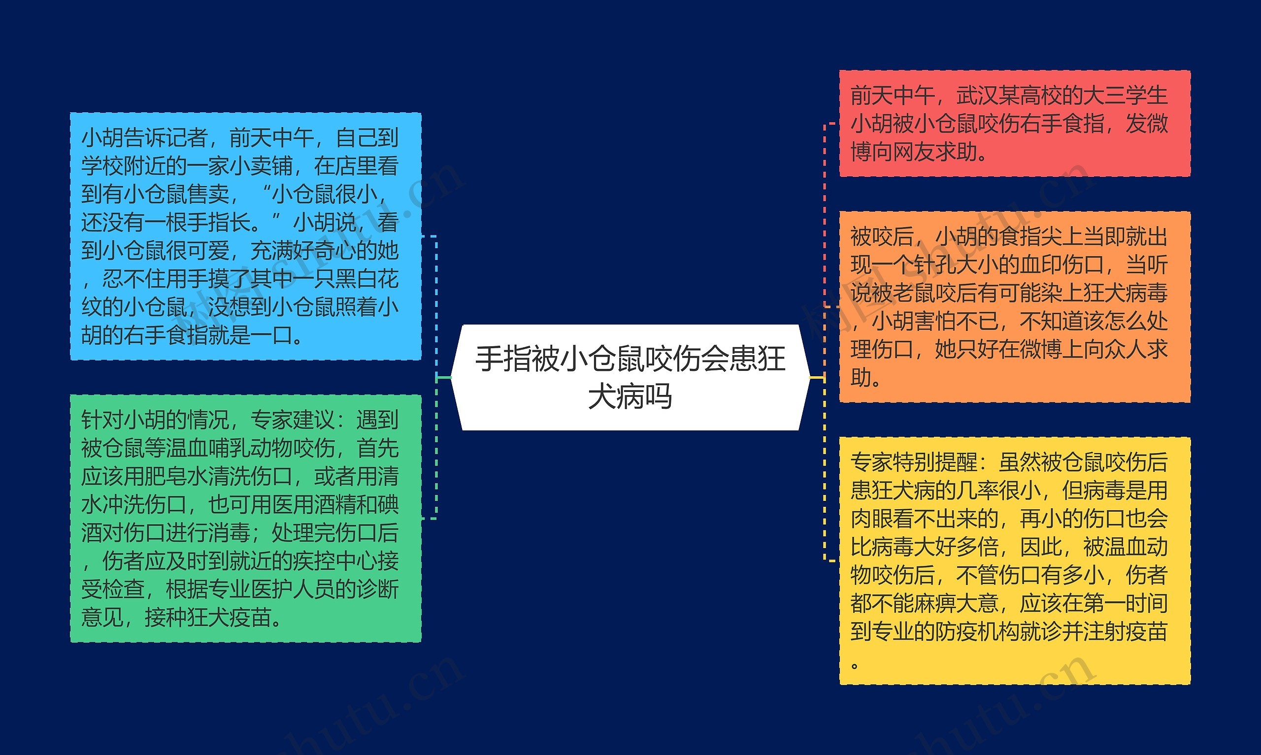 手指被小仓鼠咬伤会患狂犬病吗