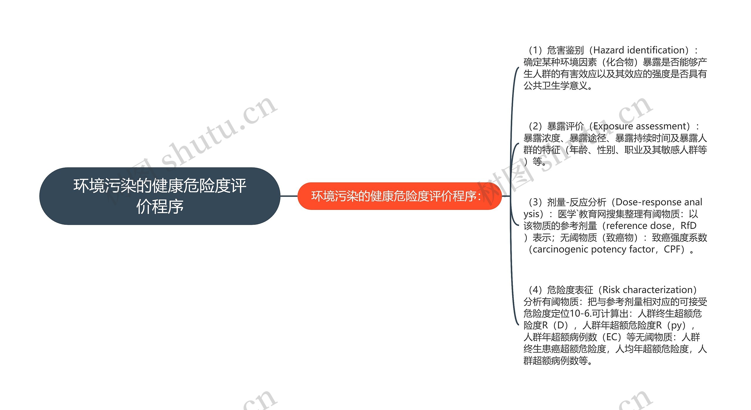 环境污染的健康危险度评价程序思维导图