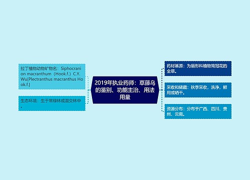 2019年执业药师：草藤乌的鉴别、功能主治、用法用量