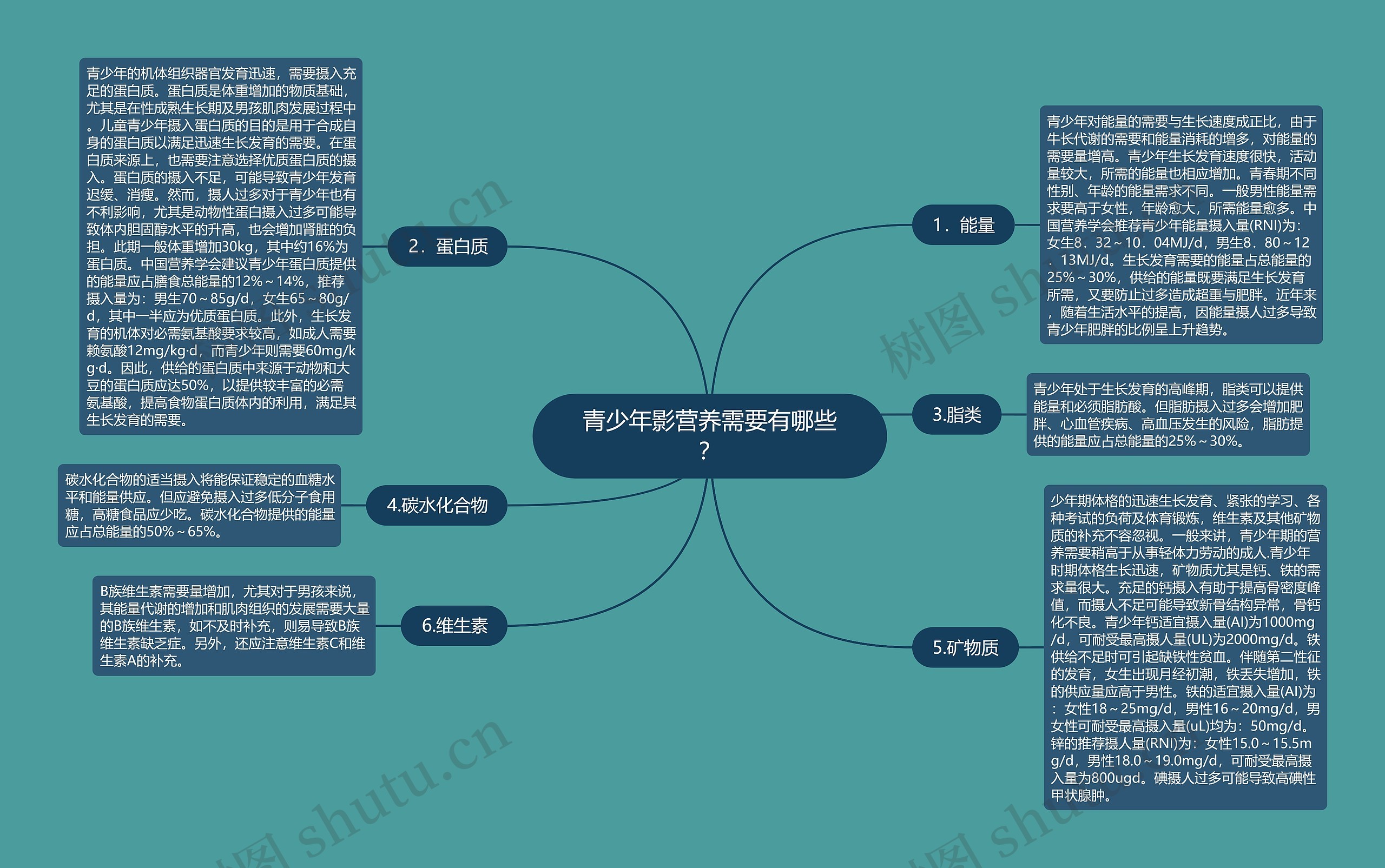 青少年影营养需要有哪些？