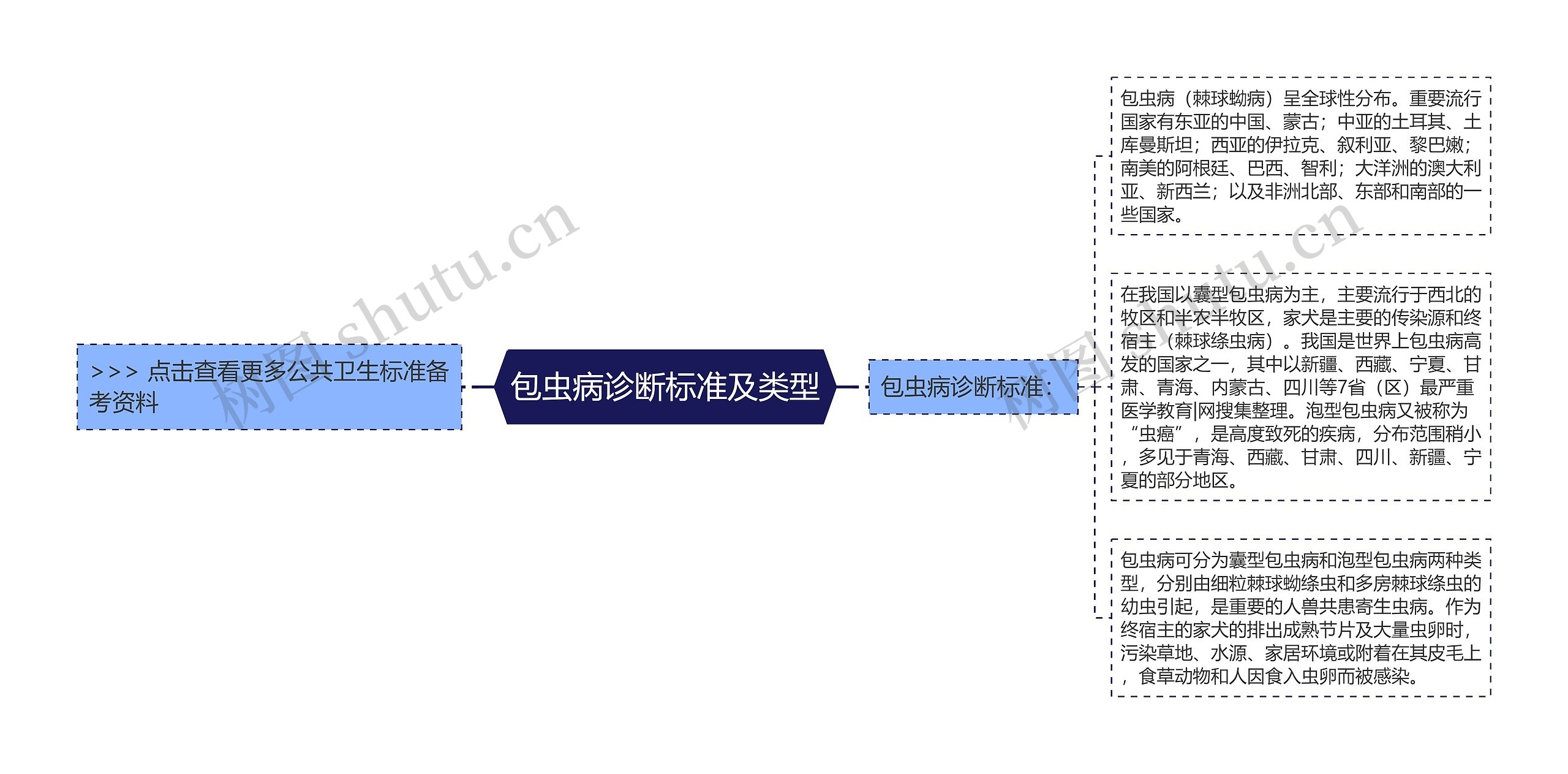 包虫病诊断标准及类型思维导图