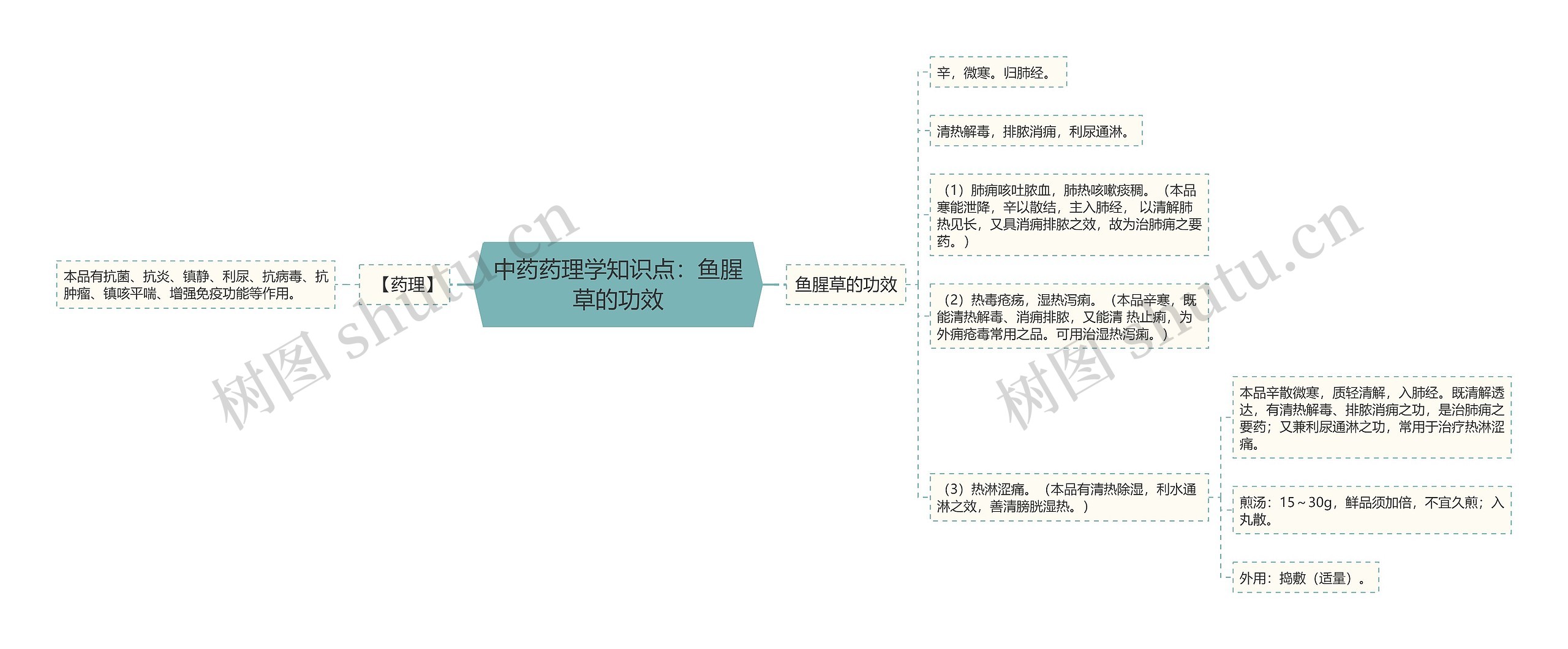 中药药理学知识点：鱼腥草的功效思维导图