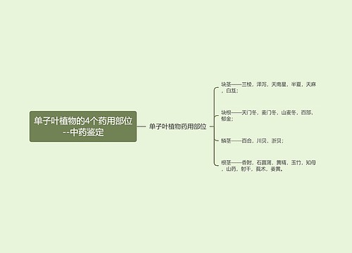 单子叶植物的4个药用部位--中药鉴定