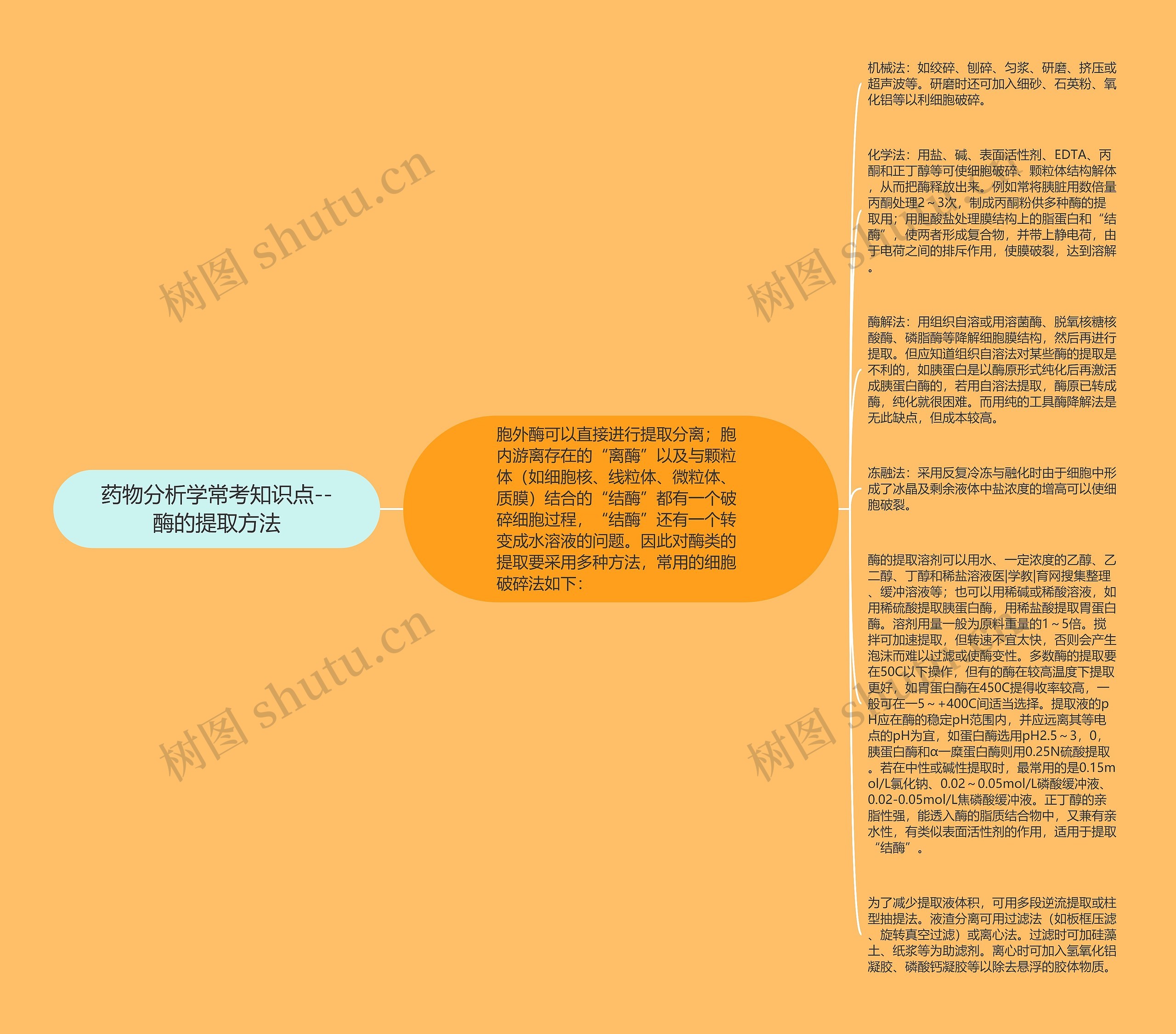 药物分析学常考知识点--酶的提取方法