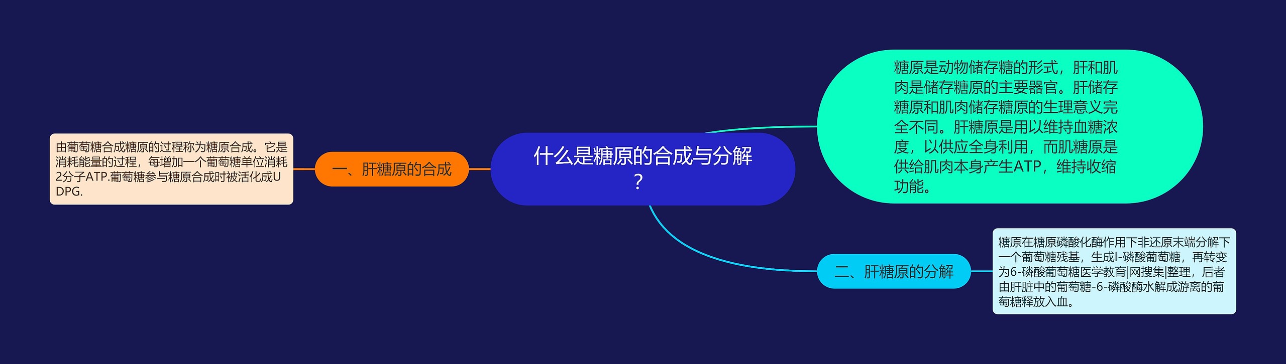 什么是糖原的合成与分解? 什么是糖原的合成与分解?
