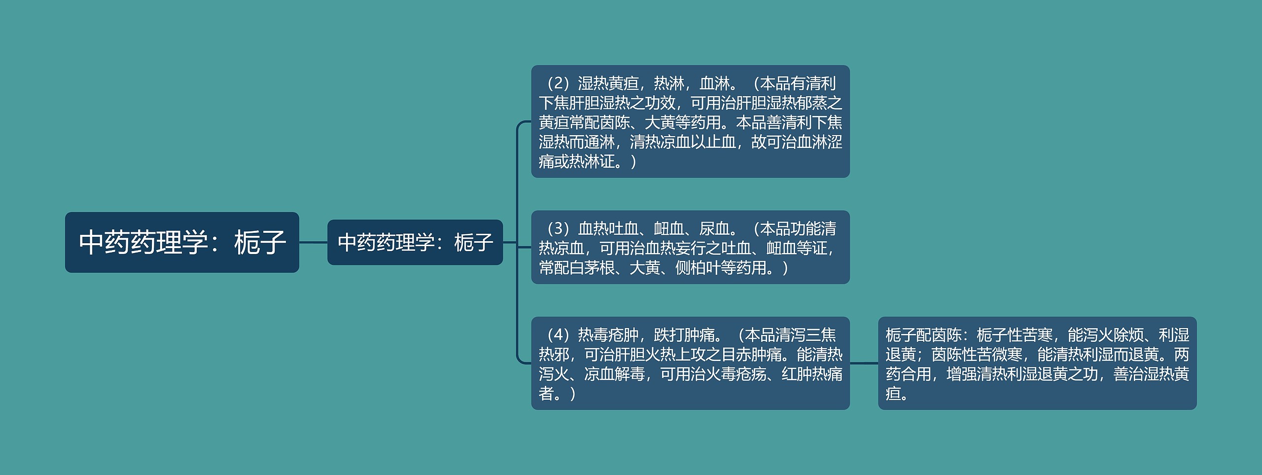 中药药理学：栀子思维导图